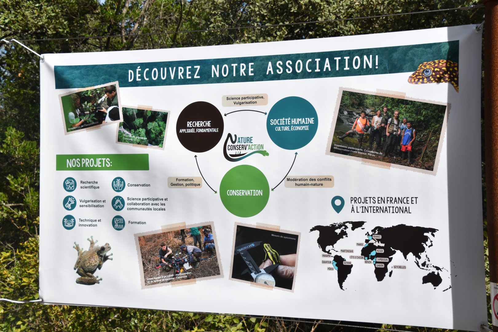 Montpellier Conservation efforts