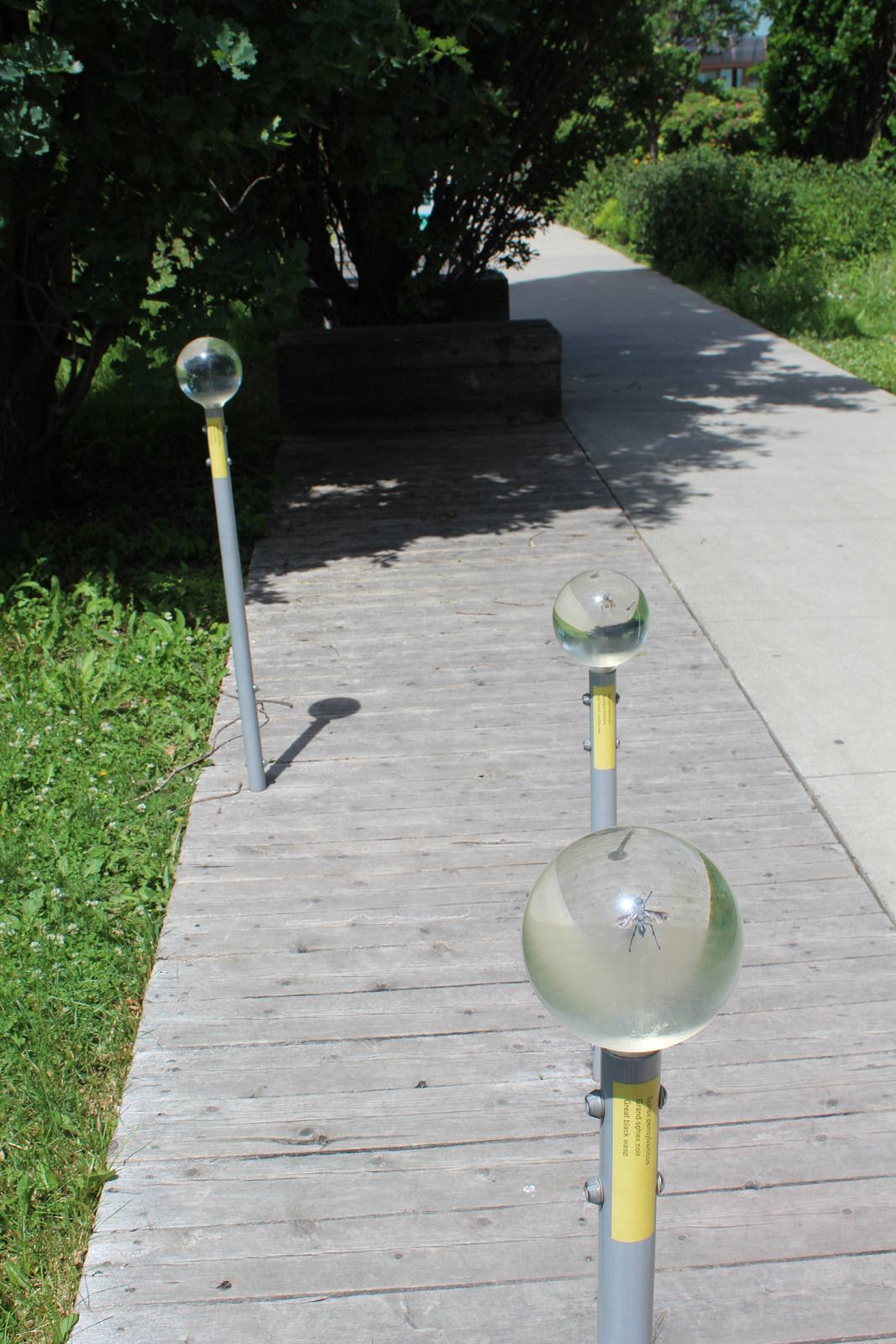 Montreal Botanical Garden Insectarium - June 2016