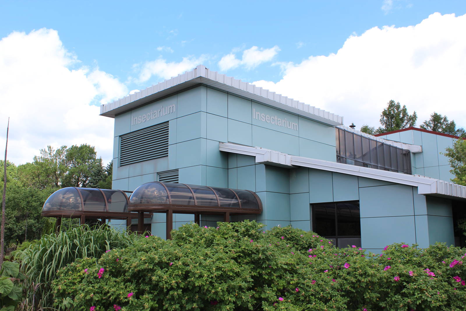 Montreal Botanical Garden Insectarium - June 2016