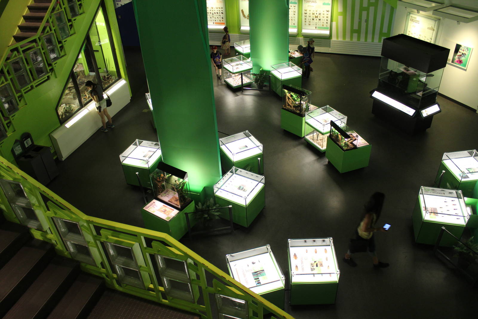 Montreal Botanical Garden Insectarium - June 2016