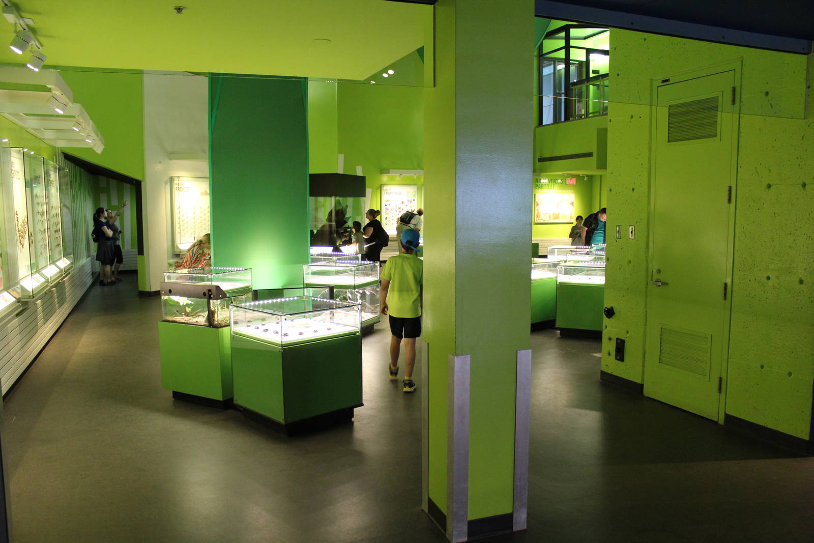 Montreal Botanical Garden Insectarium - June 2016