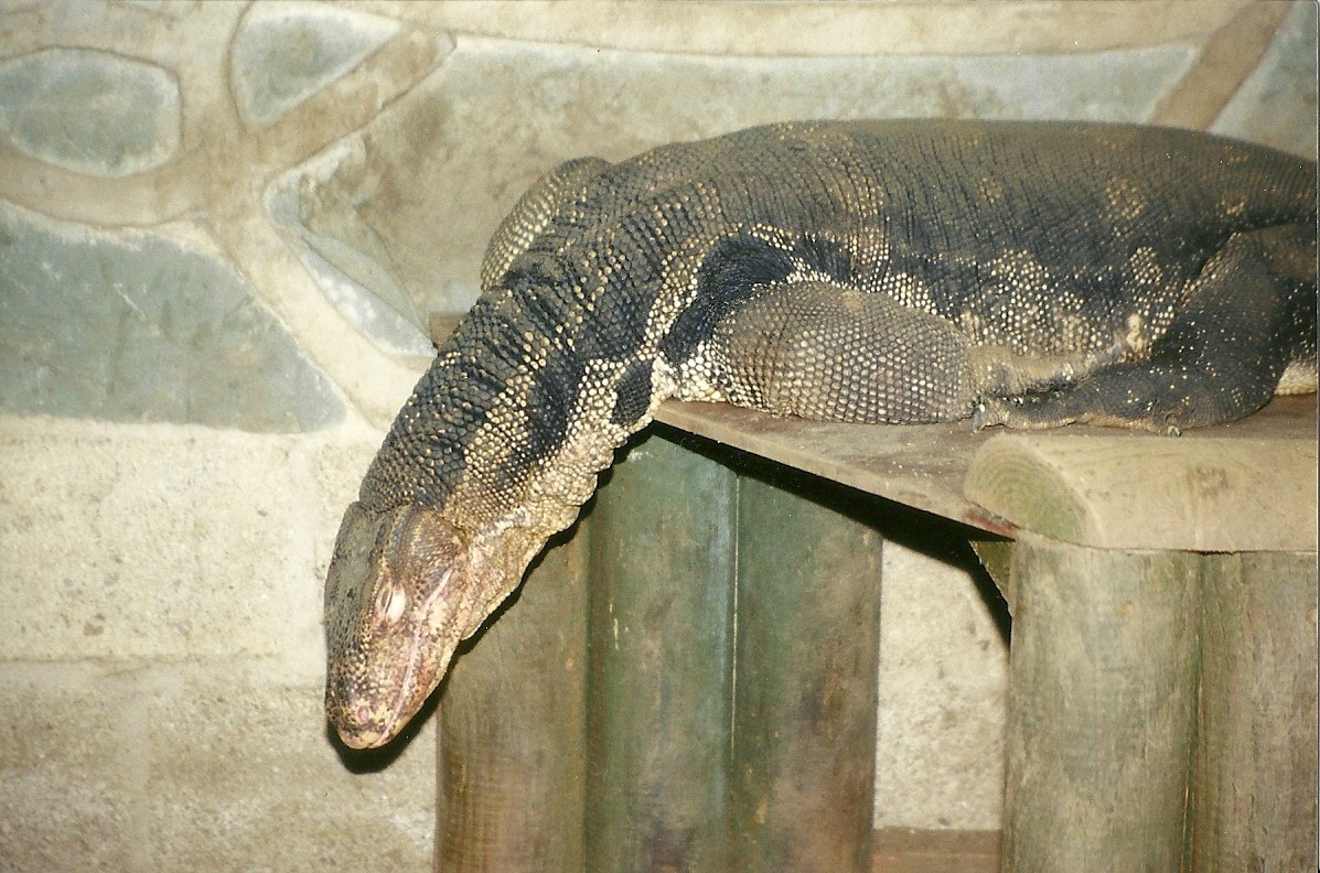 Monty 20th February 1999