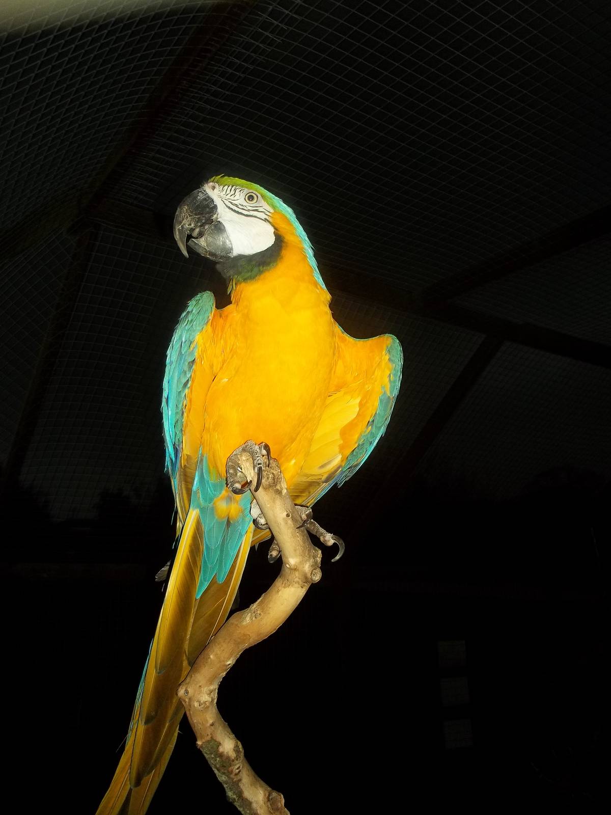 Monty, 30th November 2014