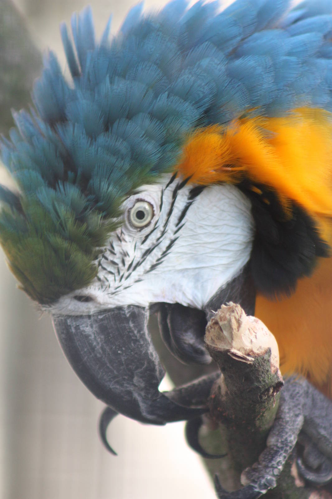 Monty, 5th October 2014