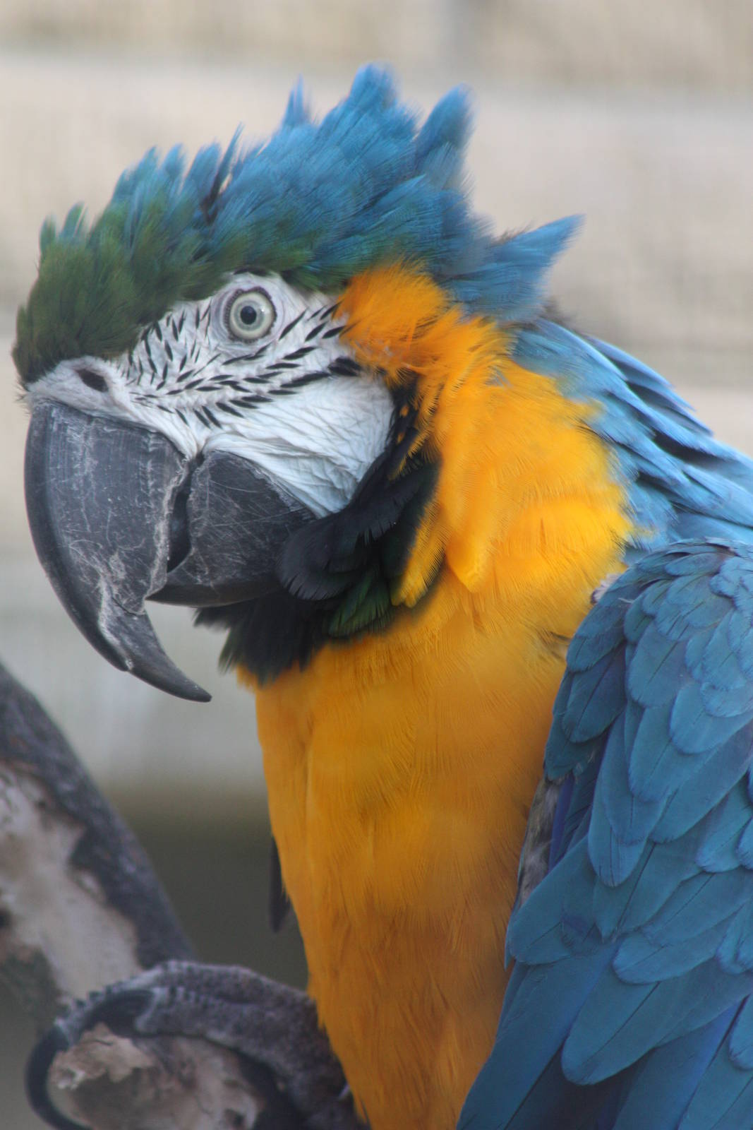 Monty, 5th October 2014