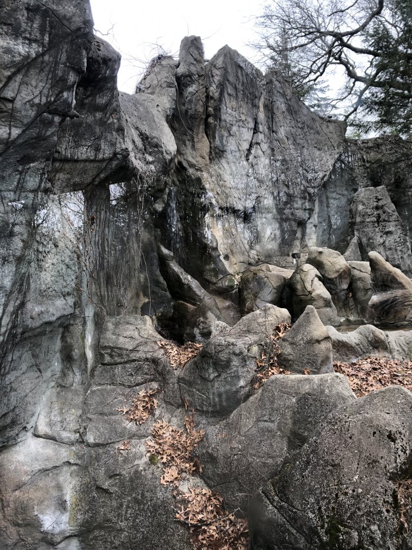 Moon Bear Habitat - Feb, 2020