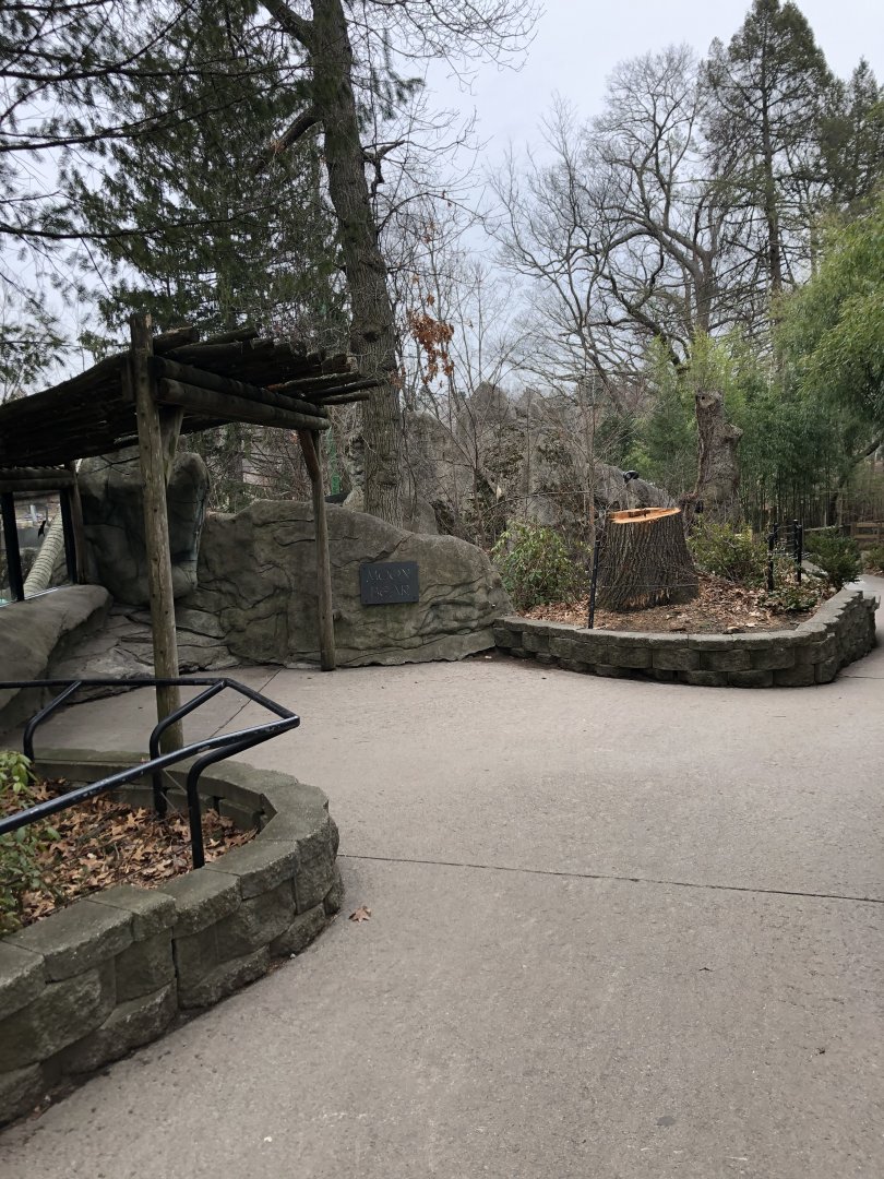 Moon Bear Viewing Platform 1 - Feb, 2020