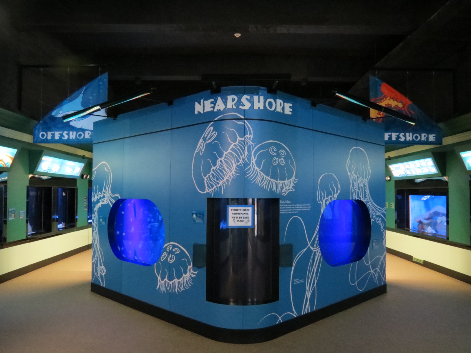 Moon Jelly, Empty, and Atlantic Sea Nettle Exhibits