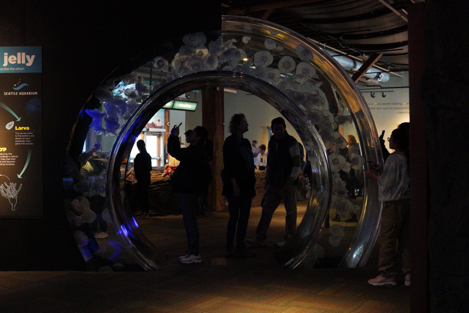 Moon Jelly Ring - "Ring of Life"