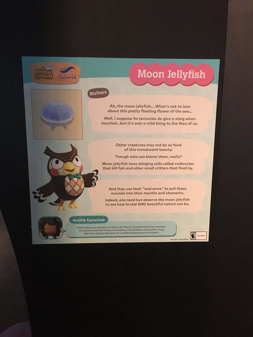 Moon Jellyfish Signage - Animal Crossing