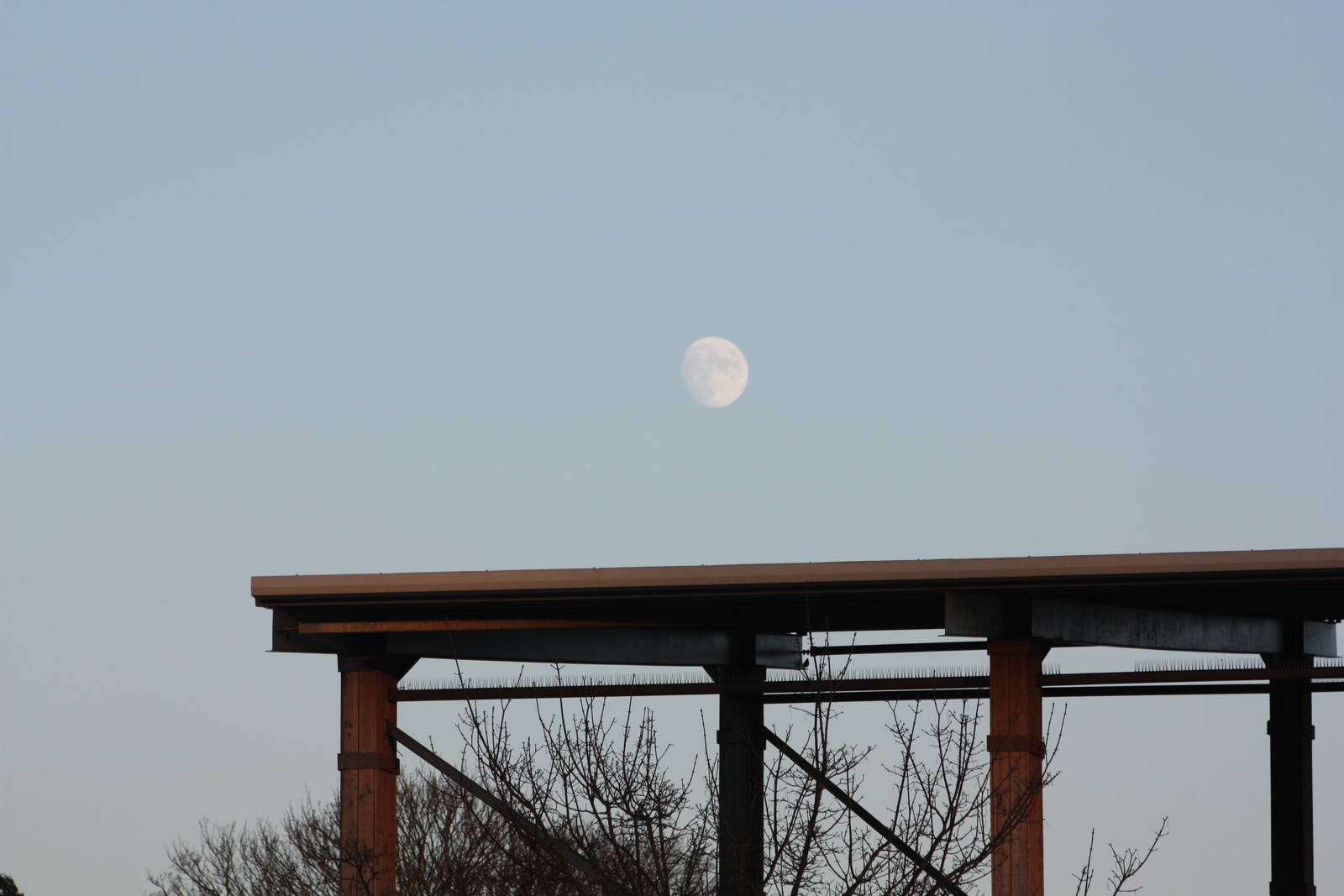 Moon over Bird Show Theatre, 2nd January 2015
