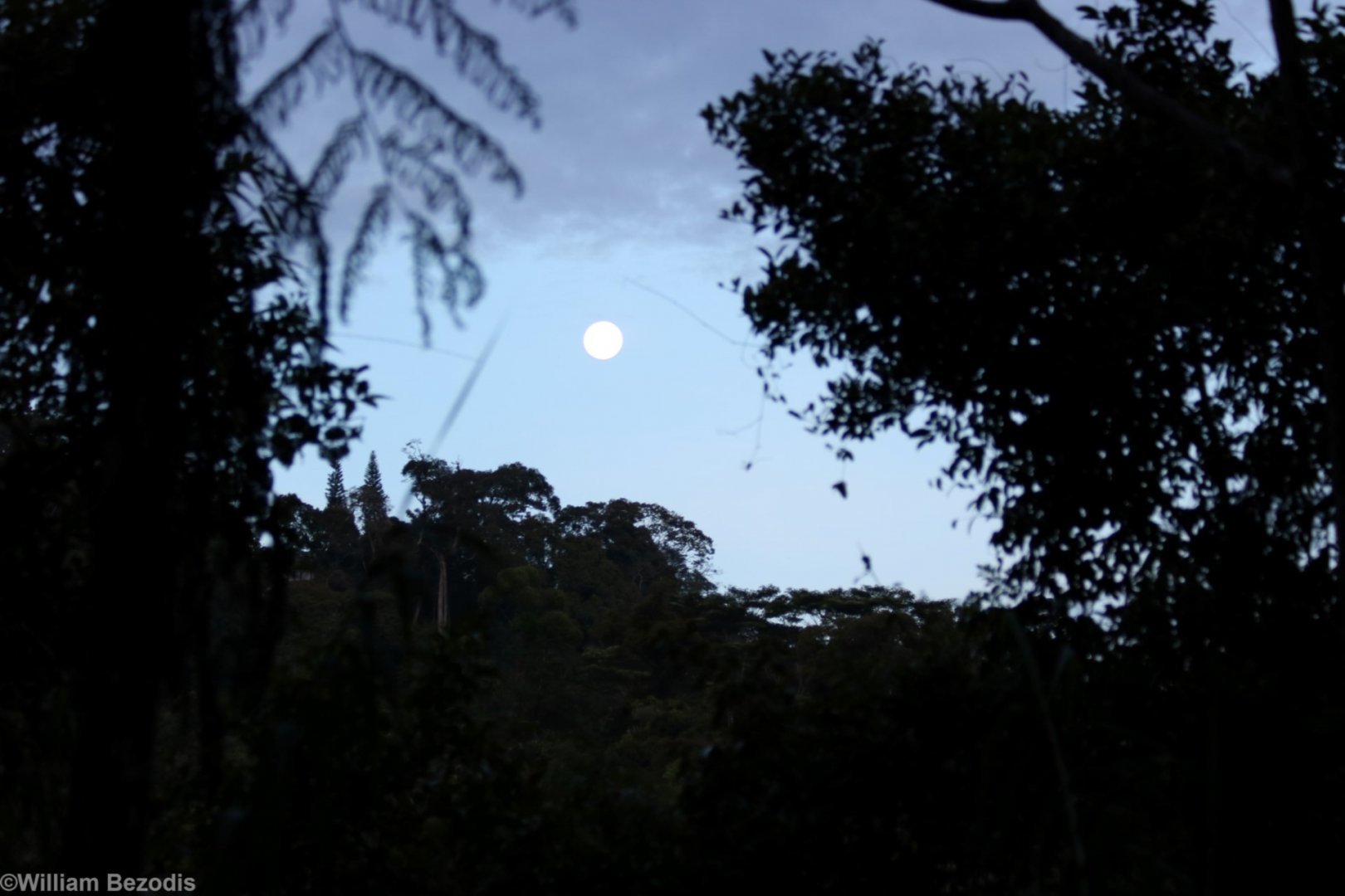 Moon Rise - Fraser's Hill