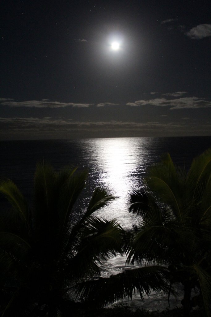 Moonlight reflection