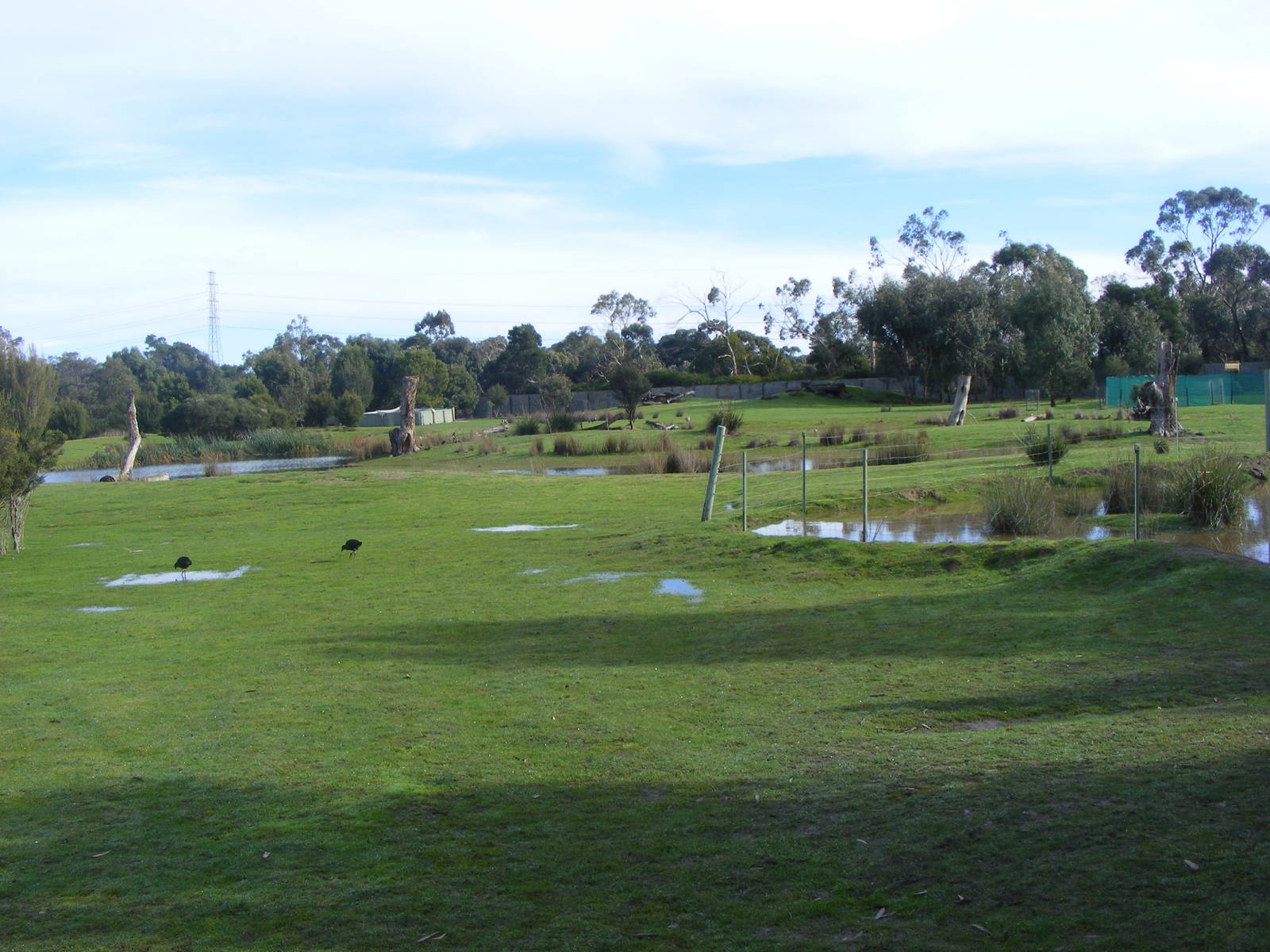 Moonlit Sanctuary - June, 2010