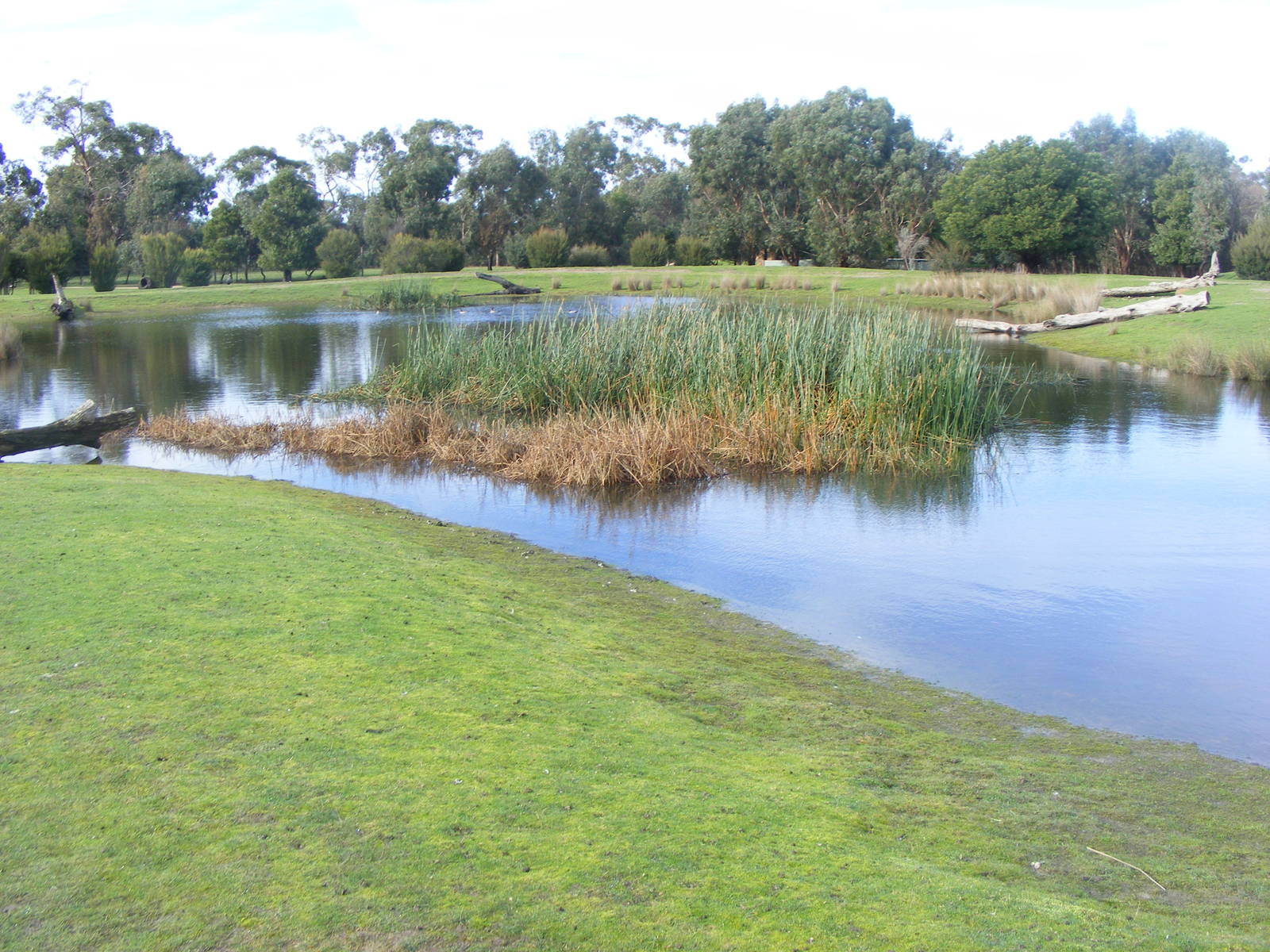 Moonlit Sanctuary - June, 2010