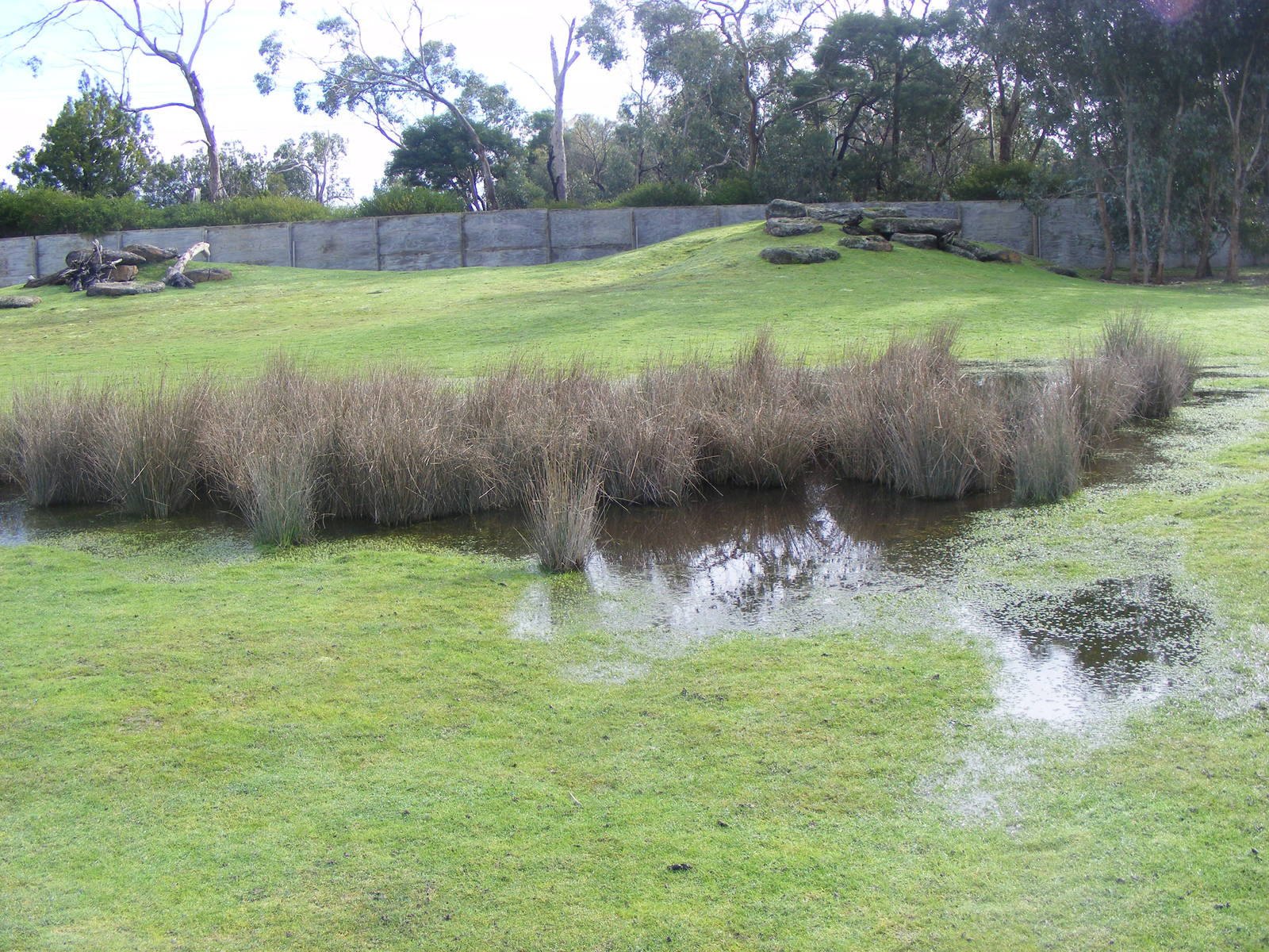 Moonlit Sanctuary - June, 2010