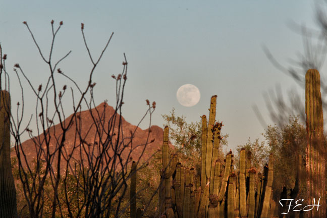 moonrise over zoo grounds