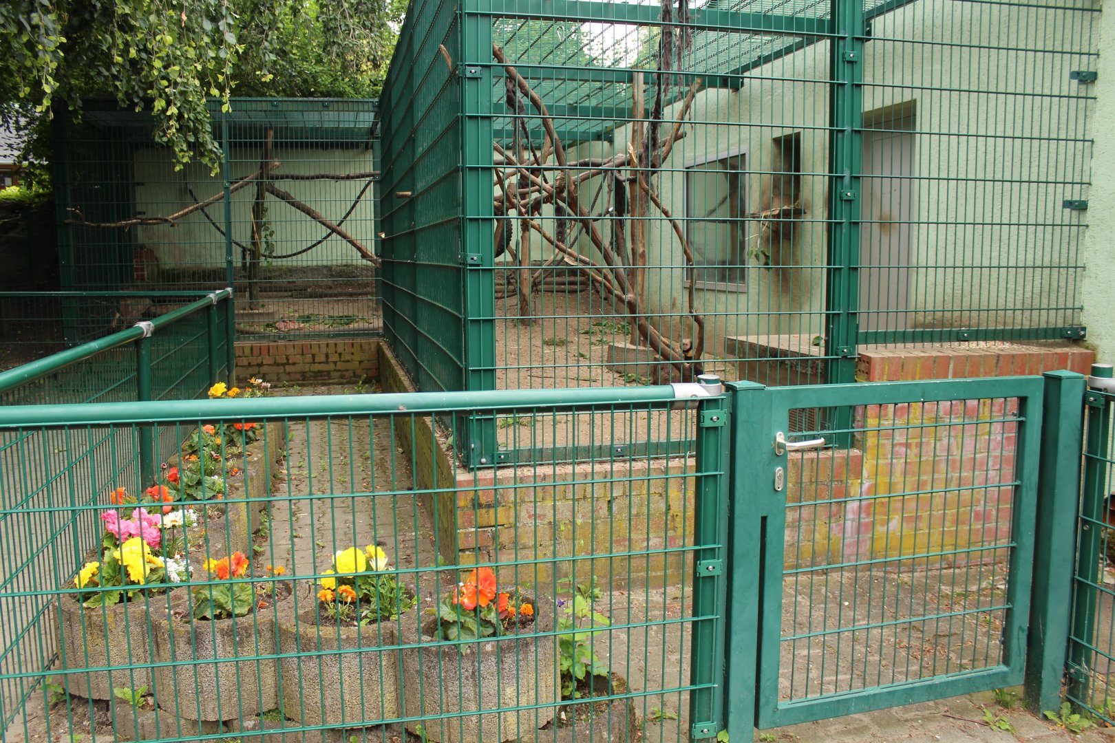 Moor Macaque cage, Tierpark Limbach-Oberfrohna
