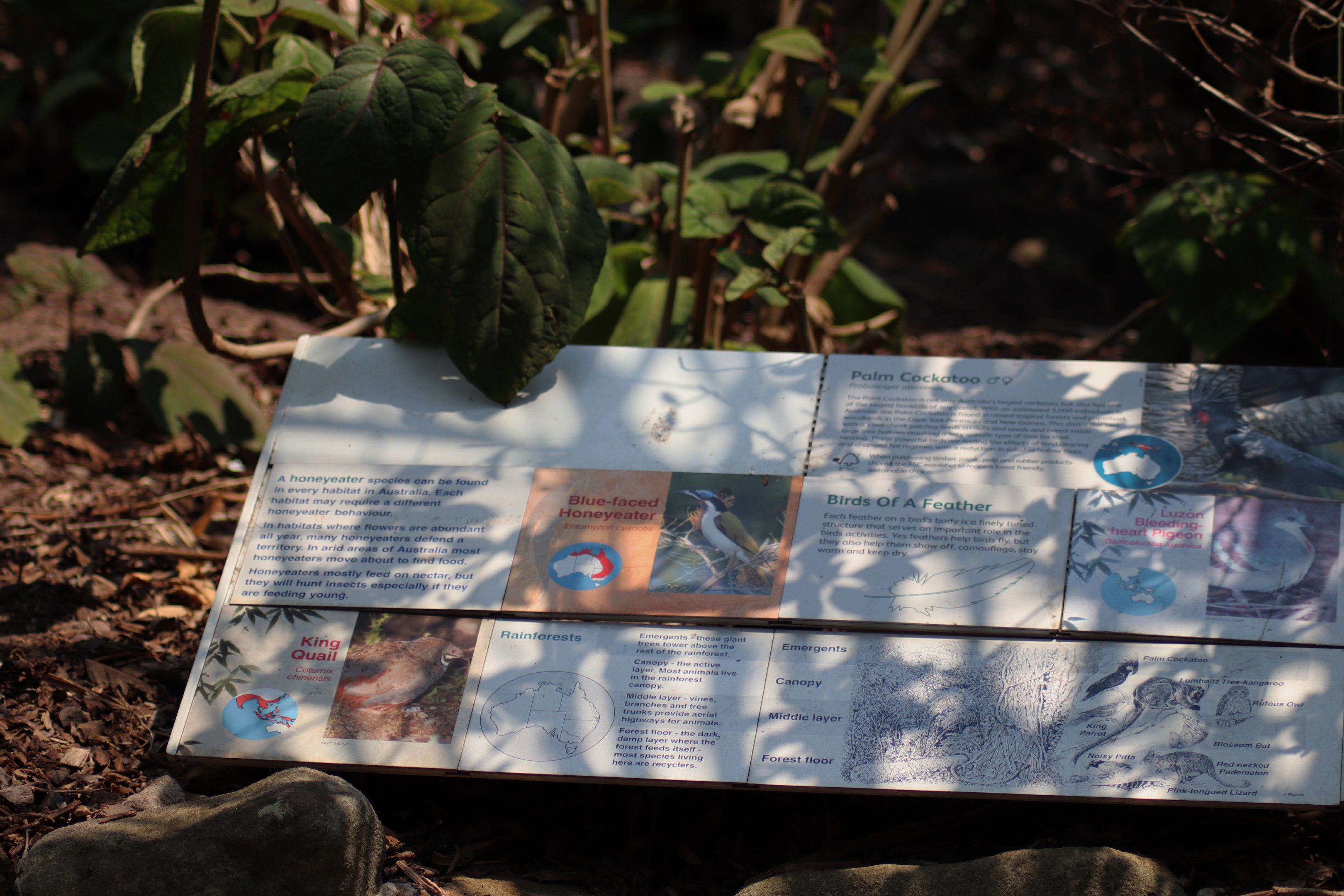 Moore Park Aviary Signage