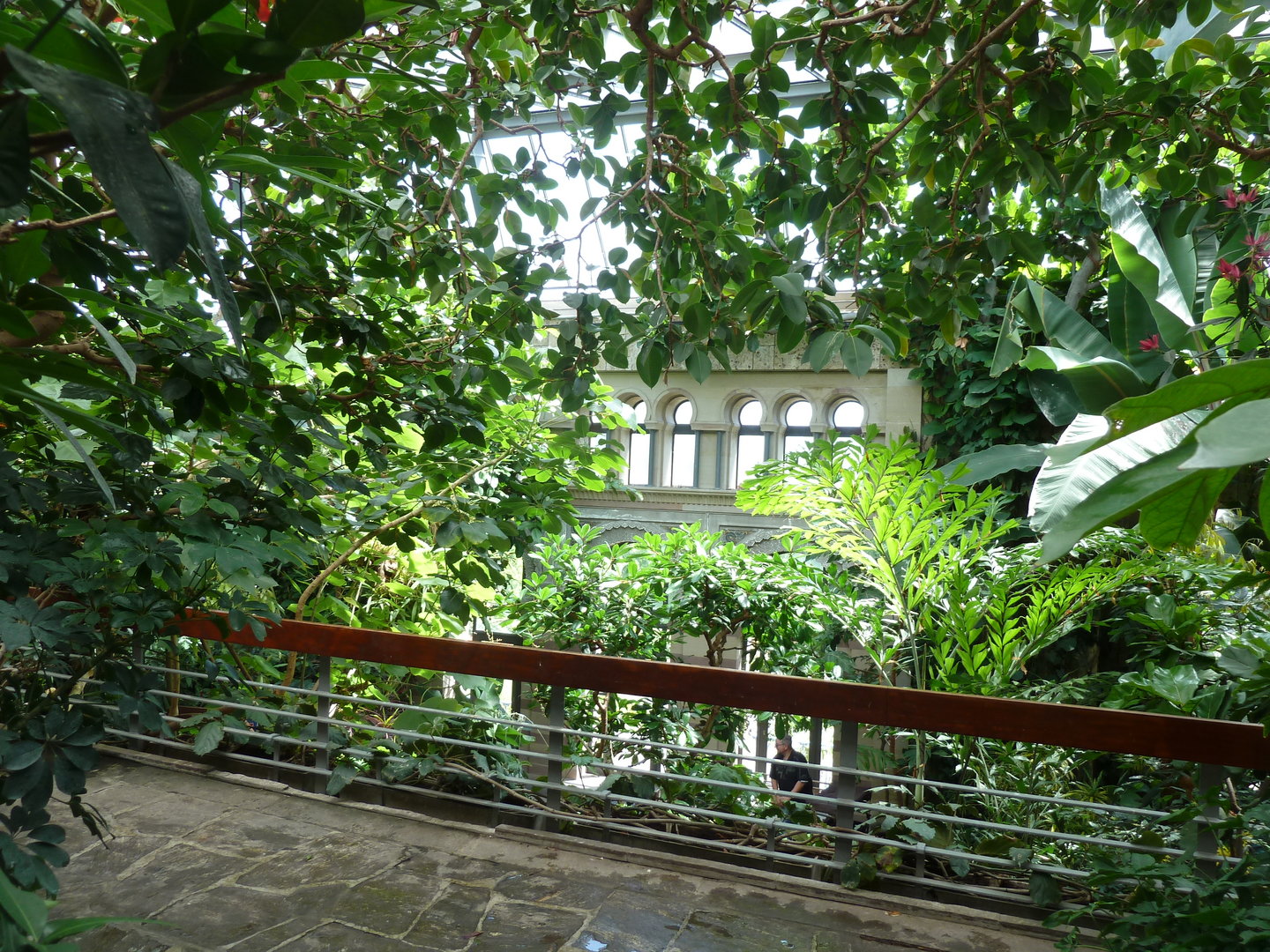 Moorish Bathhouse - Asiatic bird section