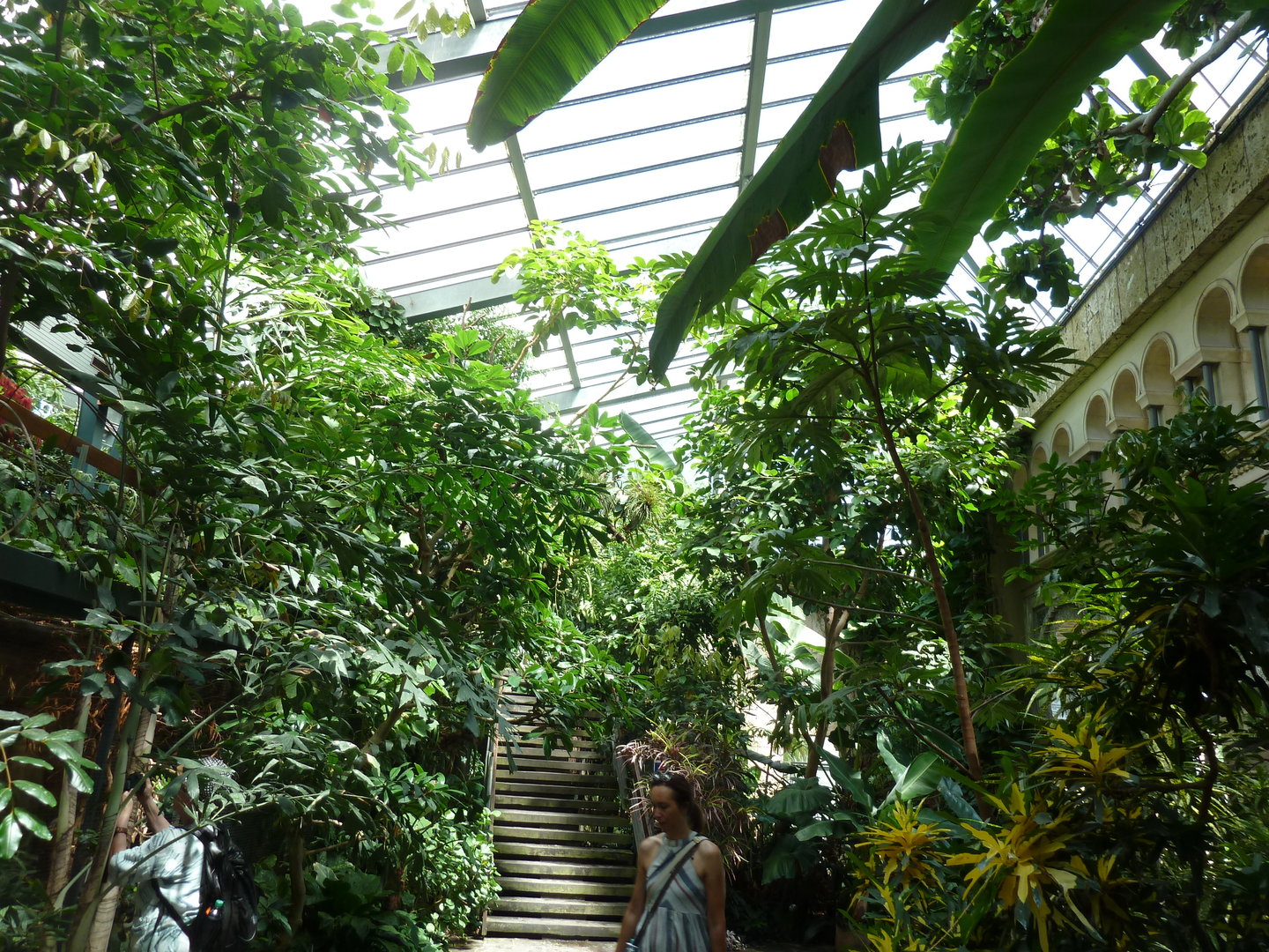 Moorish Bathhouse - Asiatic bird section