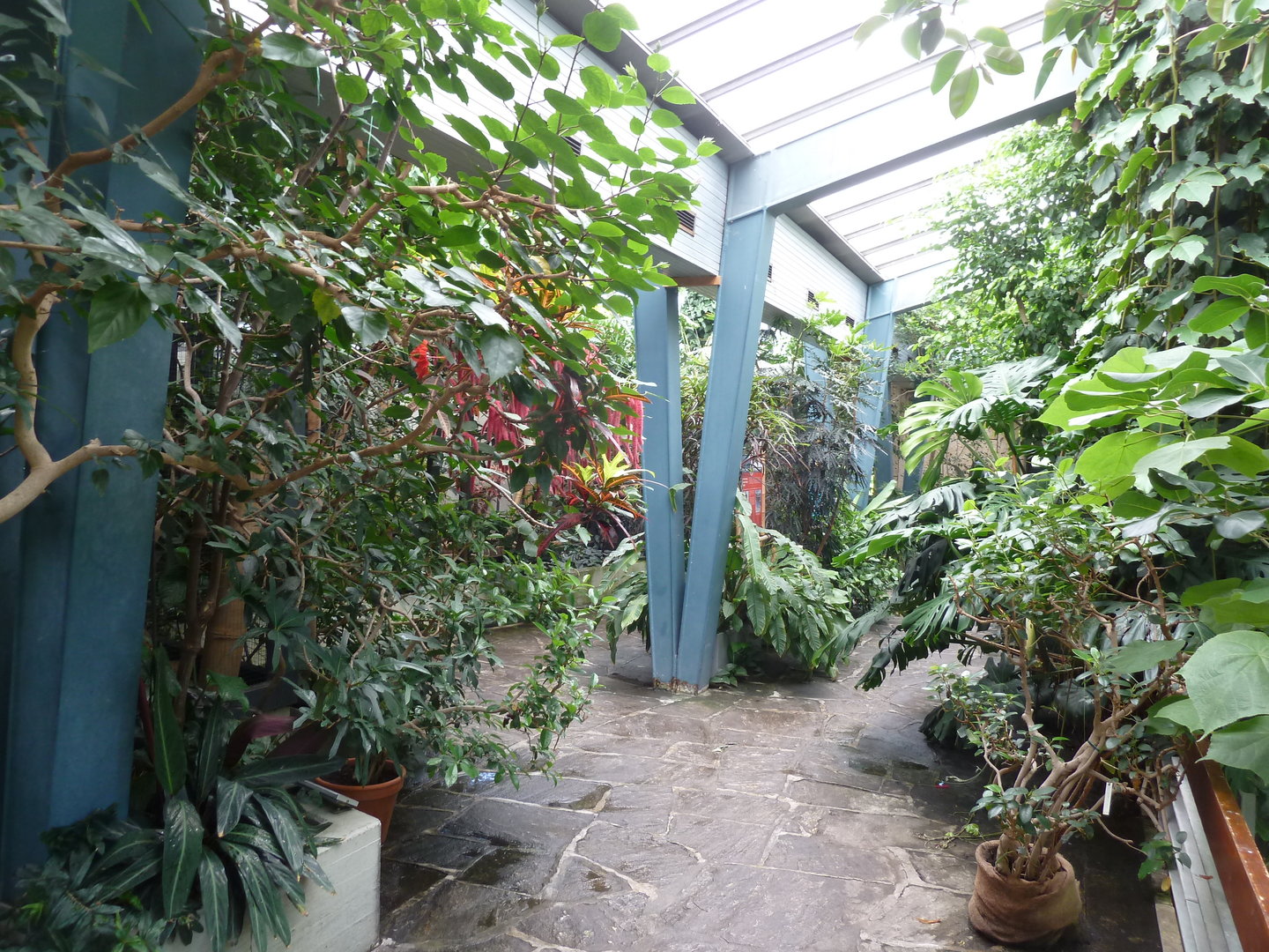 Moorish Bathhouse - Asiatic bird section