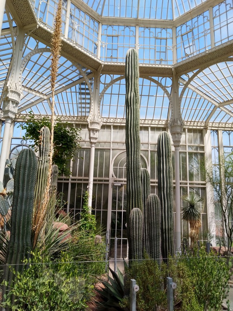 Moorish Bathhouse - Cacti winter garden