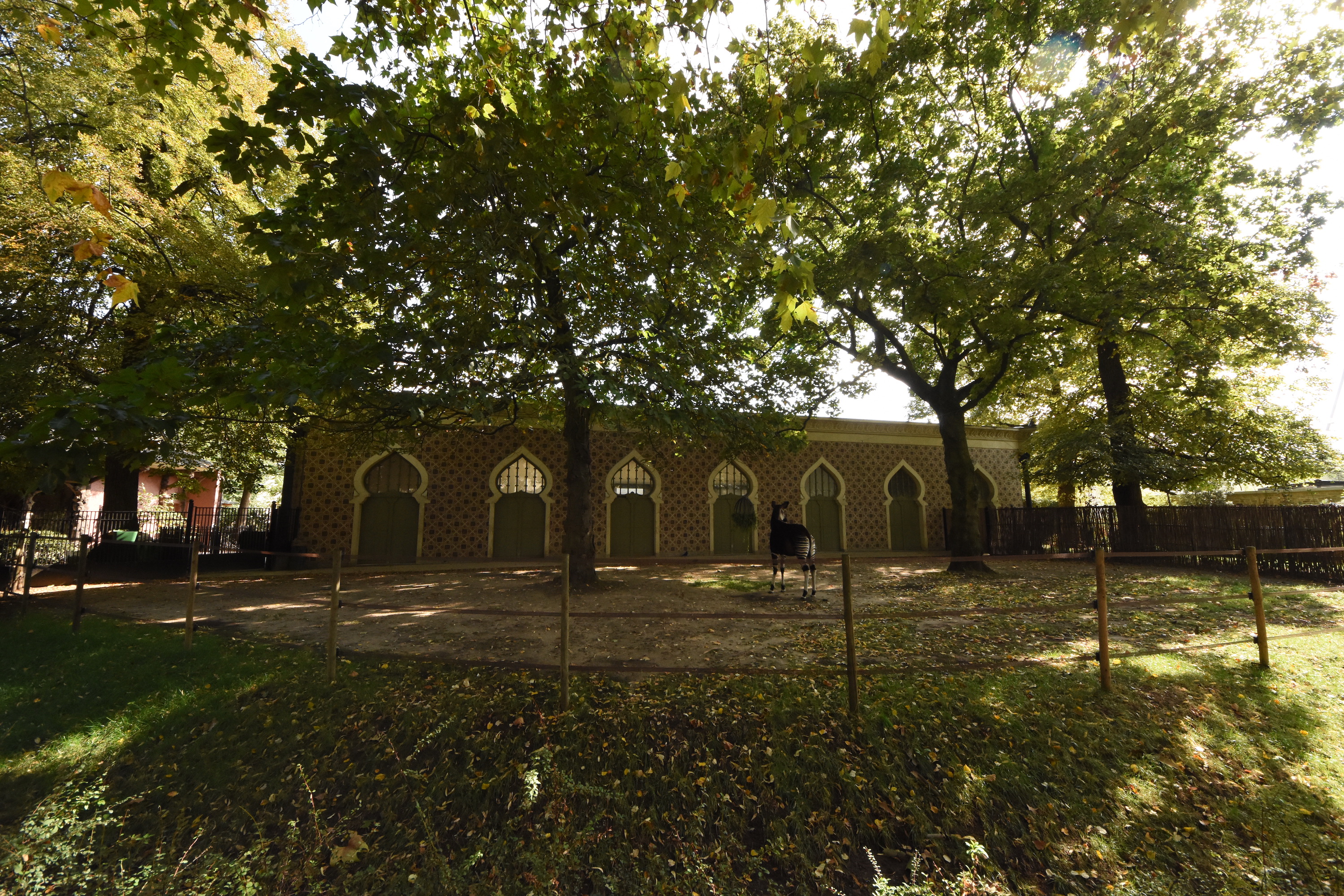 Moorish house - Okapi outdoors