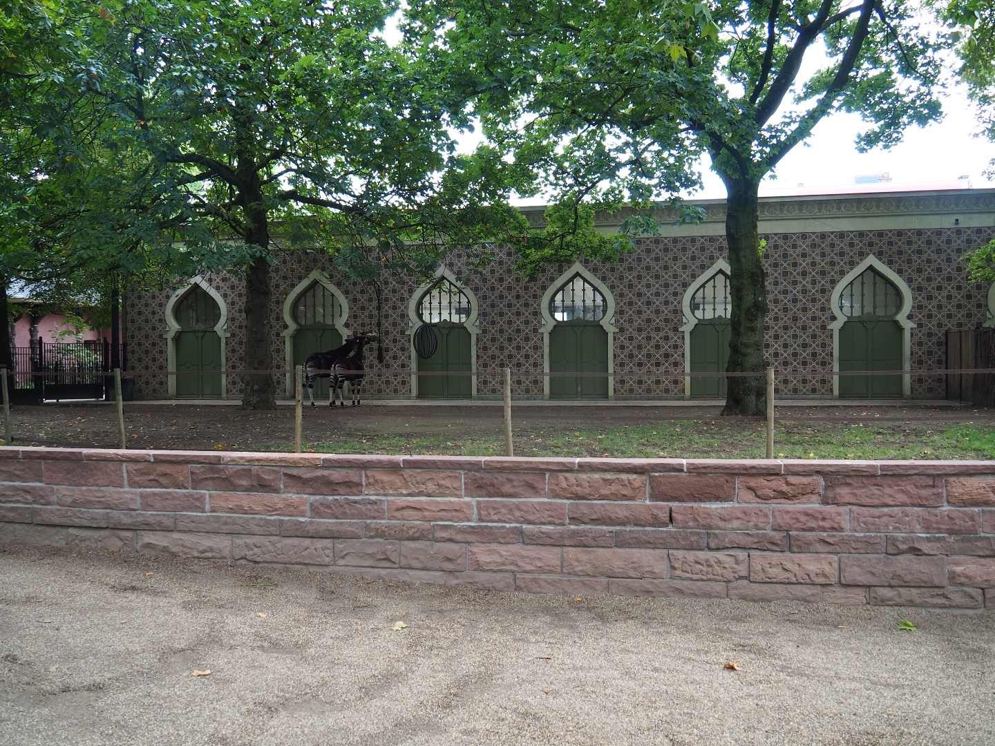 Moorish Temple and okapi paddock