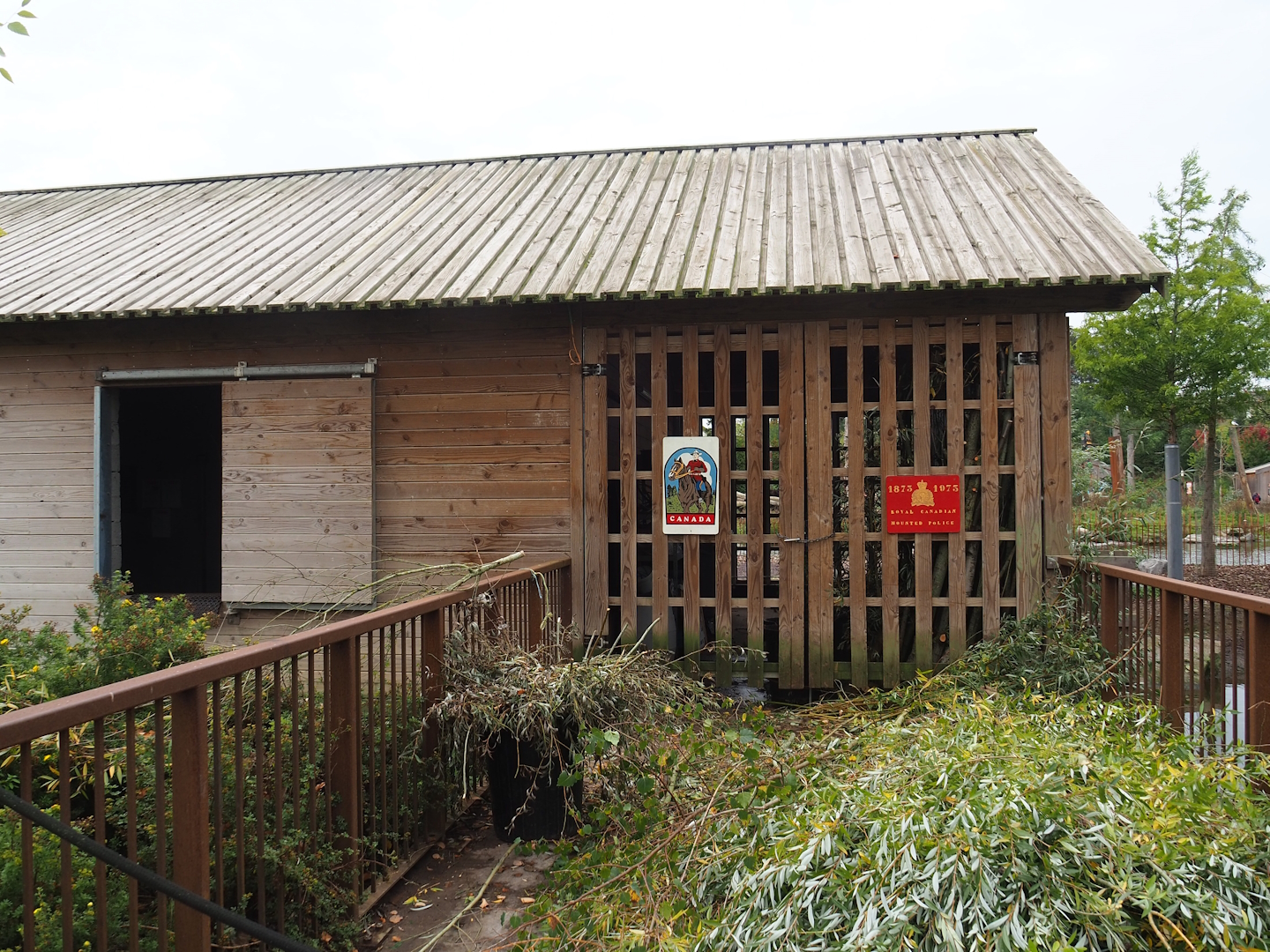 Moose barn, with browse ready for feeding, 2023-10-13