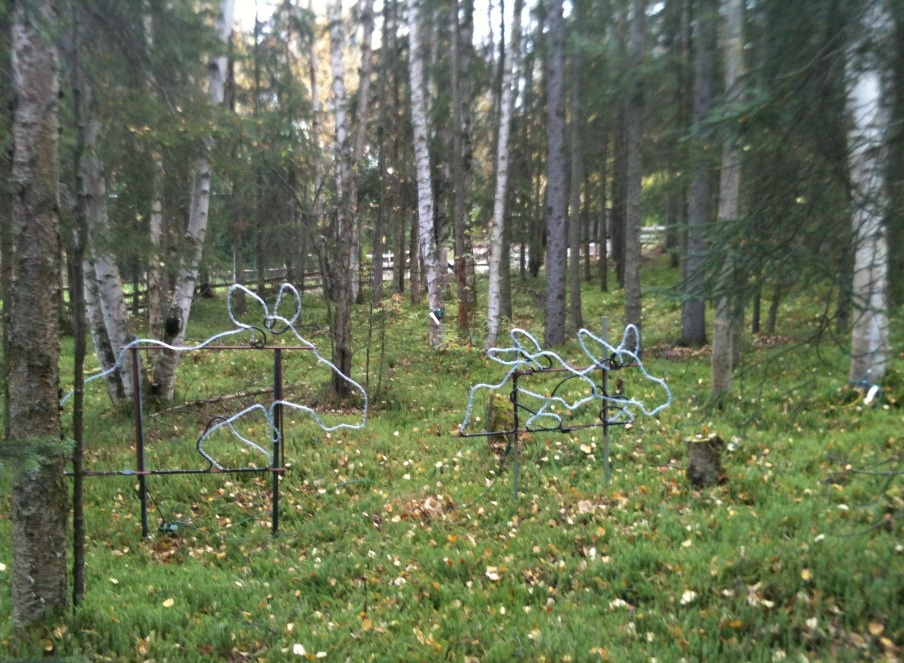 Moose cow and calves light display for winter nights at the zoo