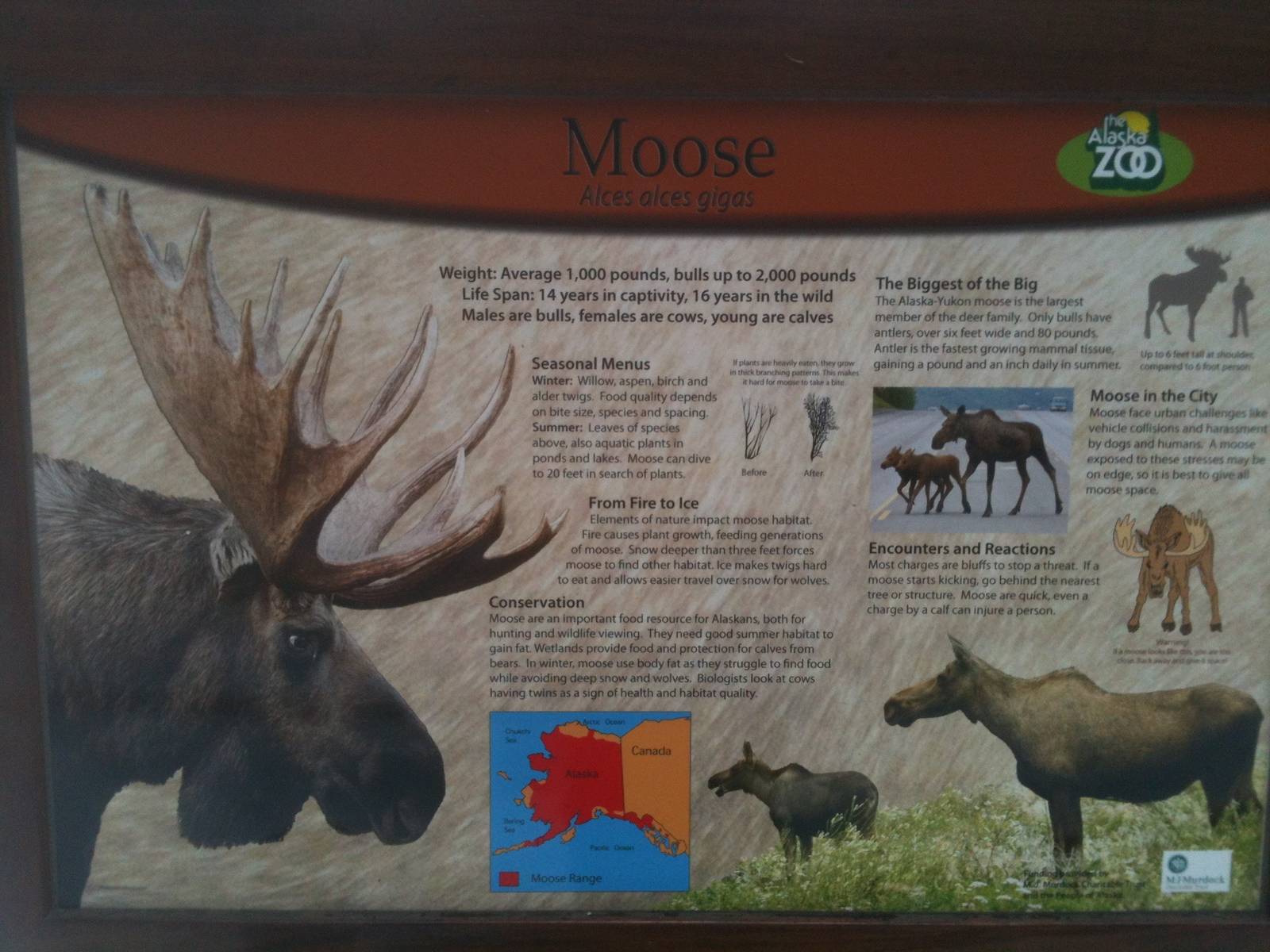 Moose Education Sign