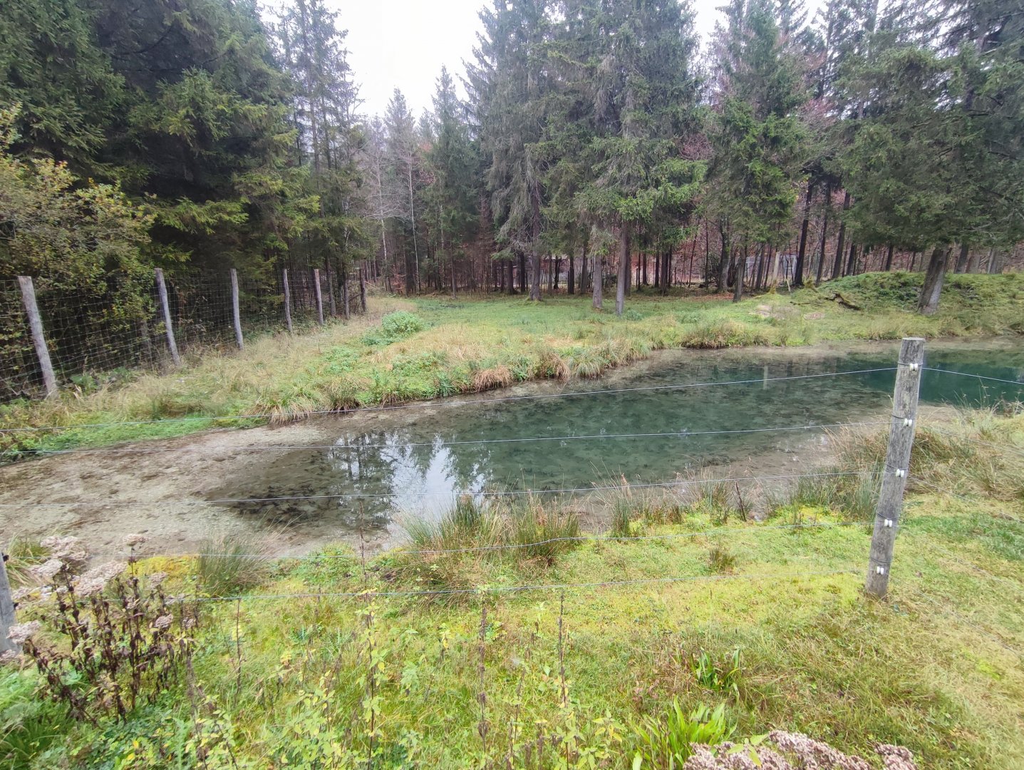 Moose enclosure 1 - Wildpark Grünau/Cumberland