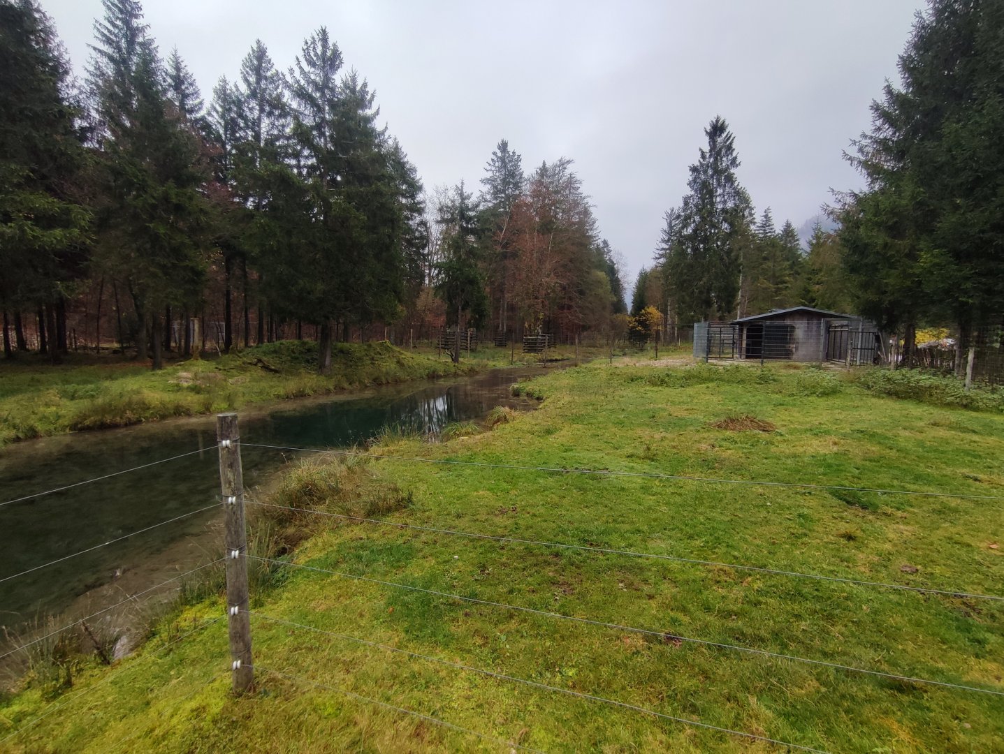 Moose enclosure 1 - Wildpark Grünau/Cumberland