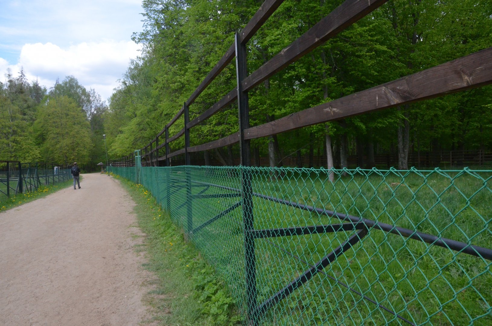 Moose Enclosure at Rezerwat Pokazowy Żubrów, Białowieża 07/05/19