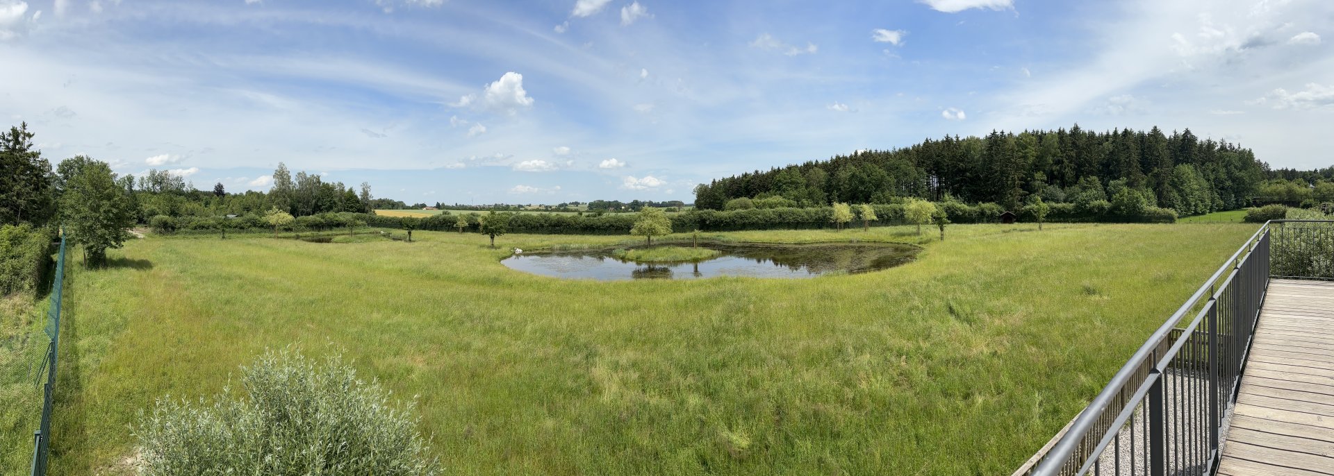 Moose Enclosure at Wildpark Poing