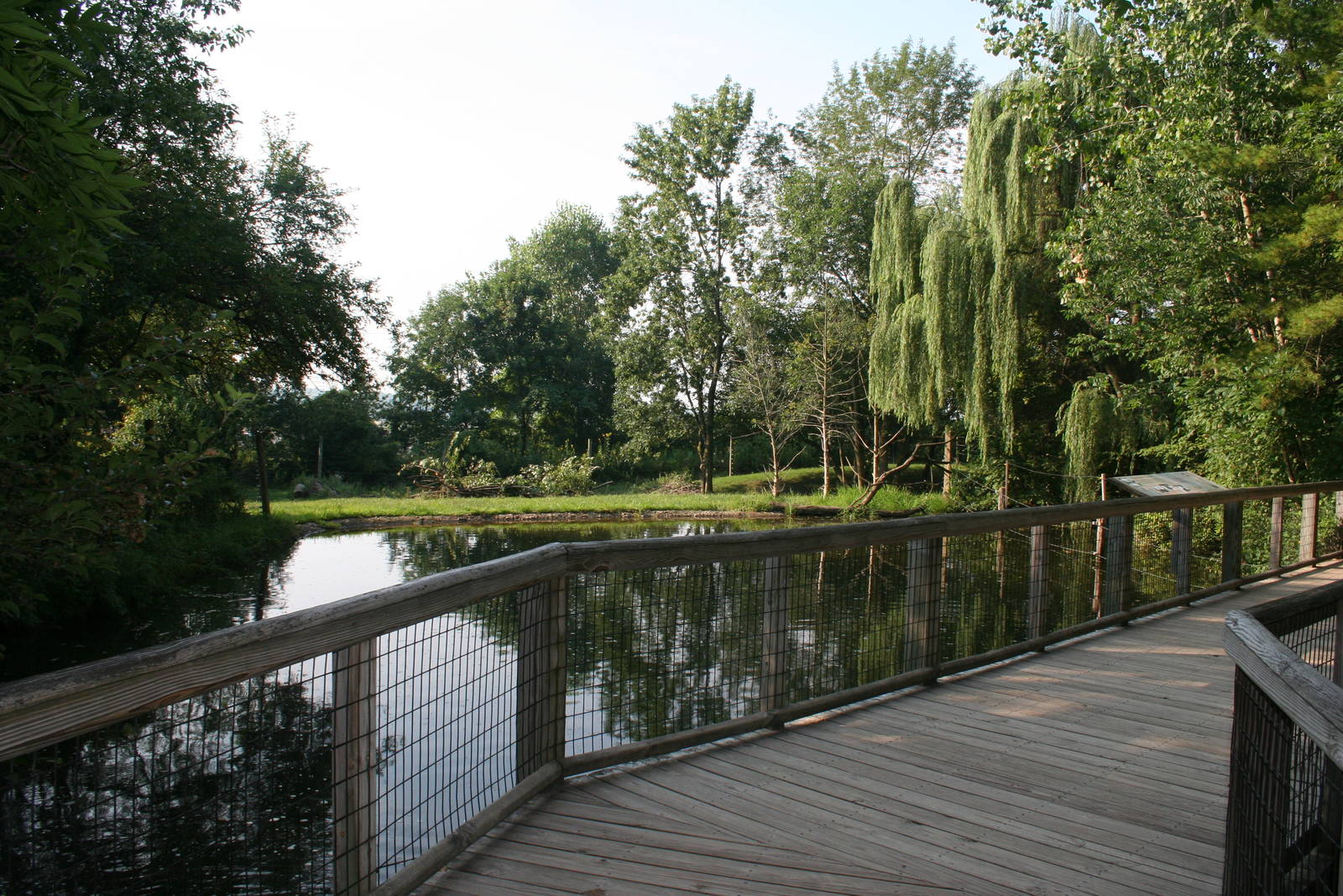 Moose Exhibit View from Moose Lake Boardwalk