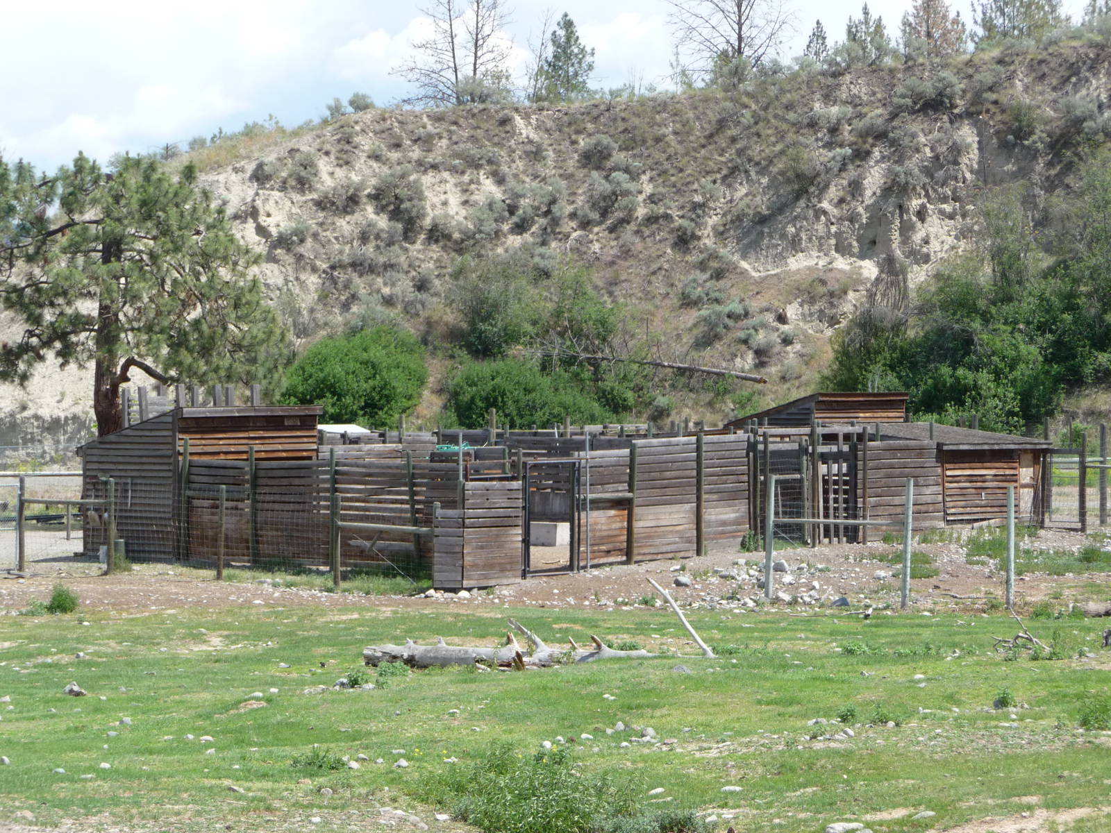 Moose/Mule Deer Exhibit - Holding Area