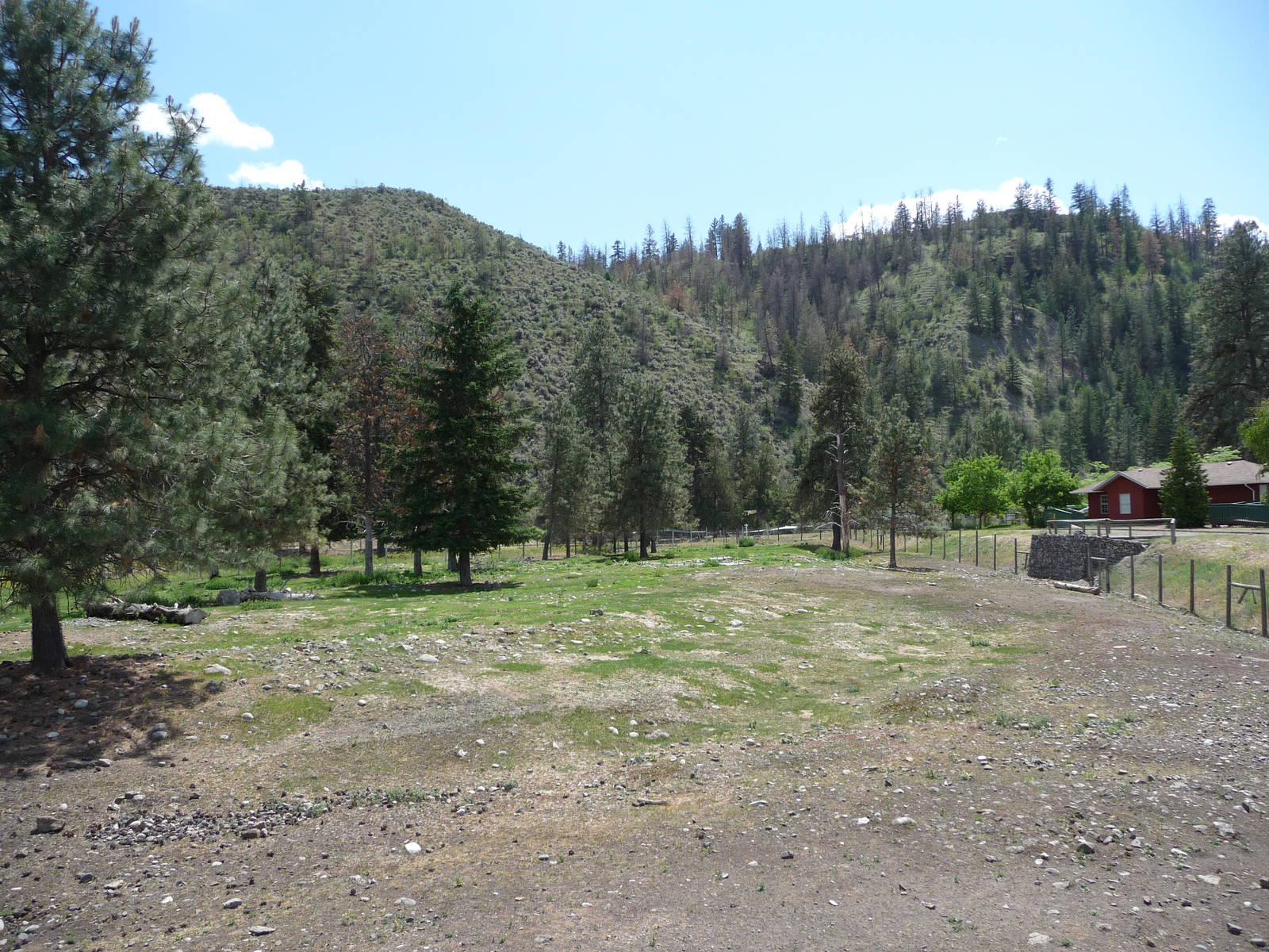 Moose/Mule Deer Exhibit