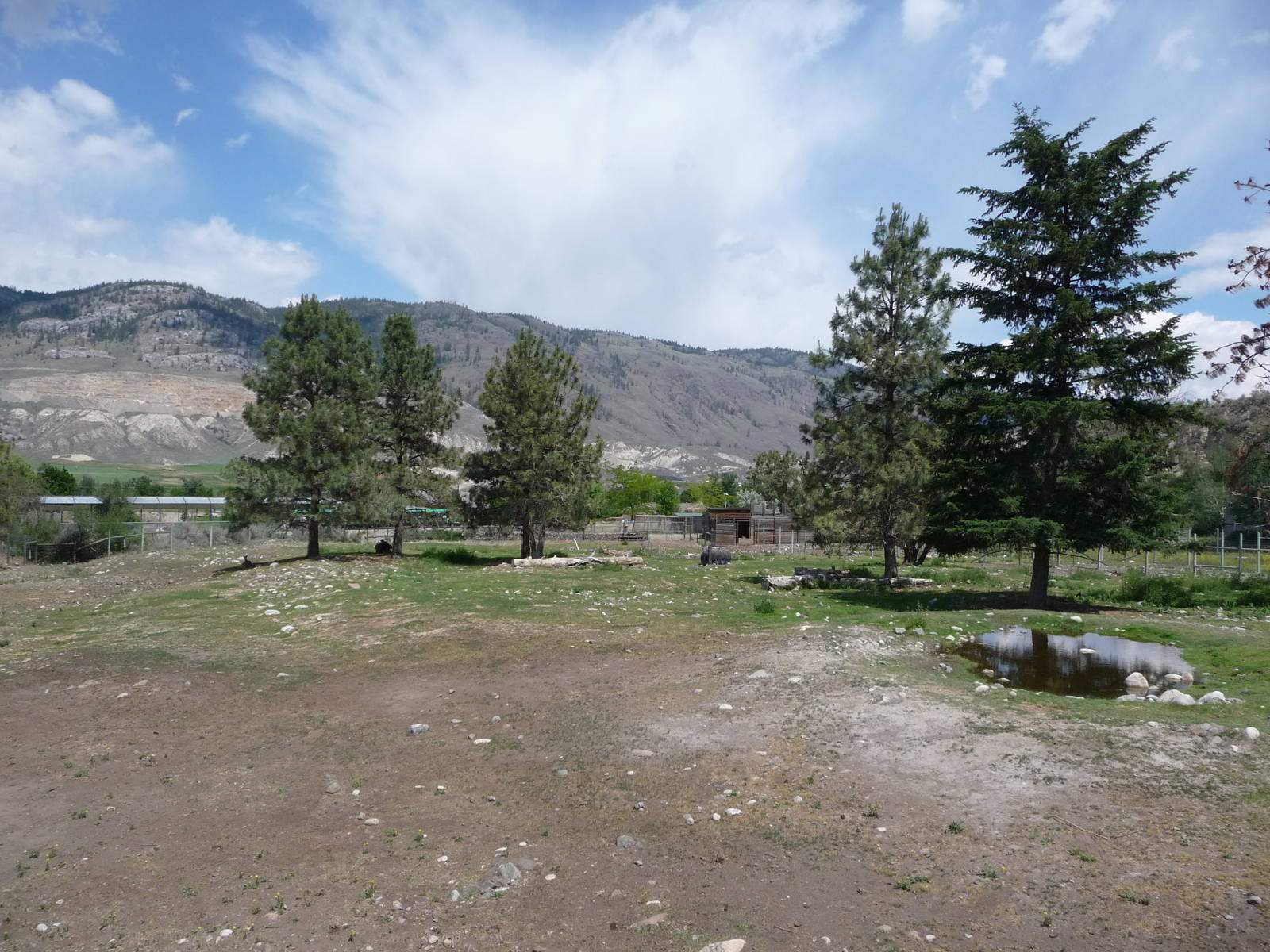 Moose/Mule Deer Exhibit
