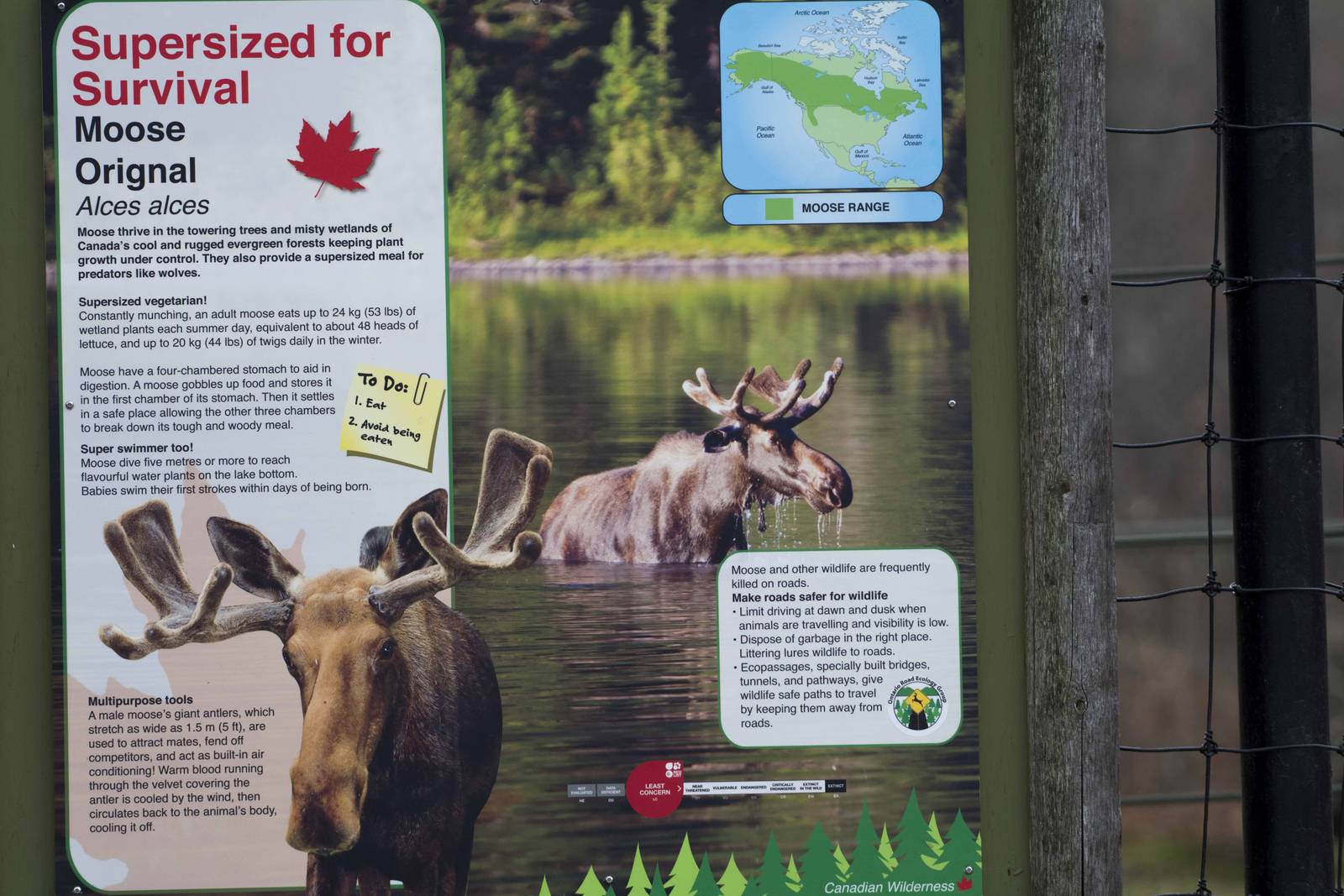 Moose Signage