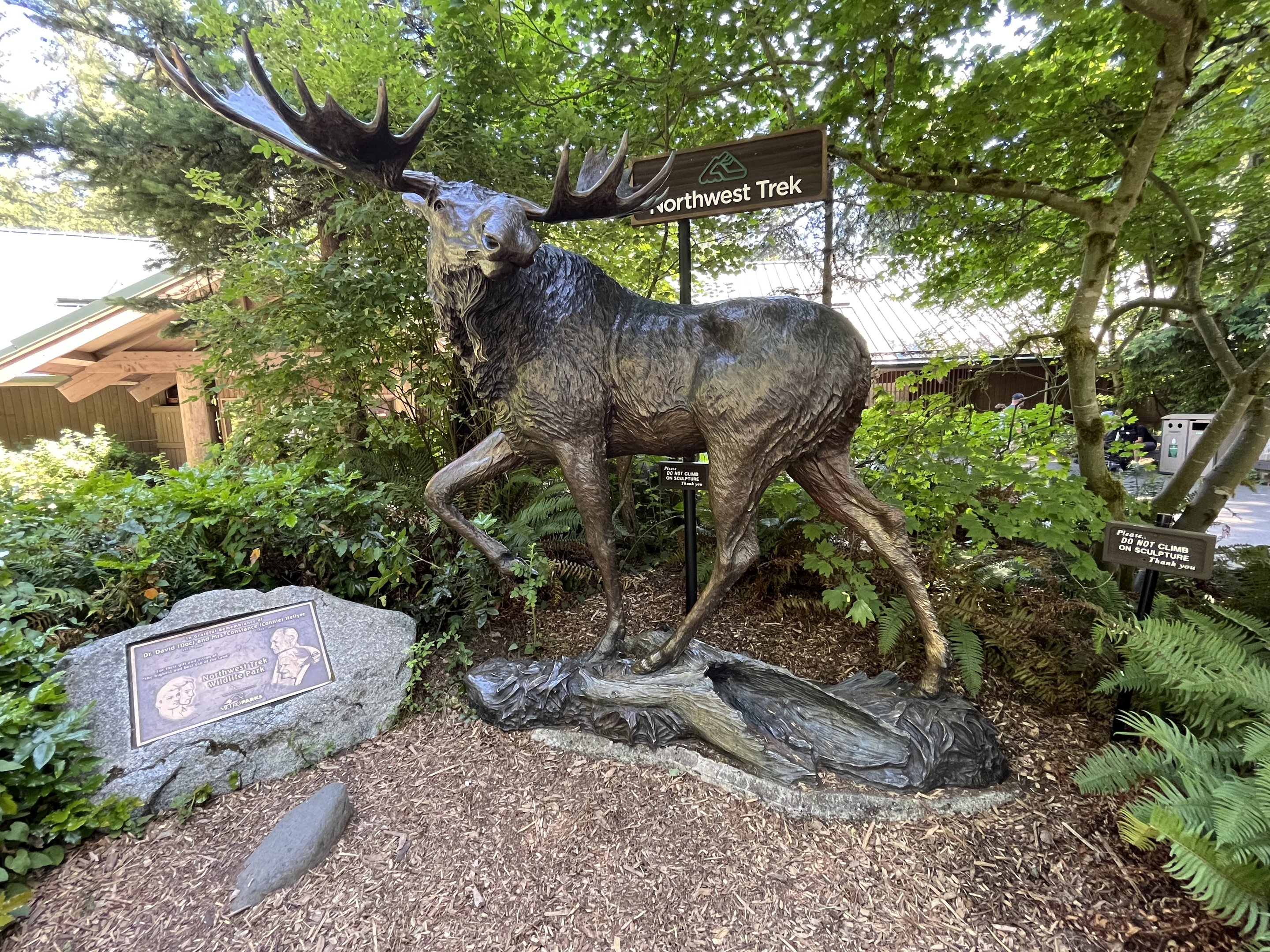 Moose Statue