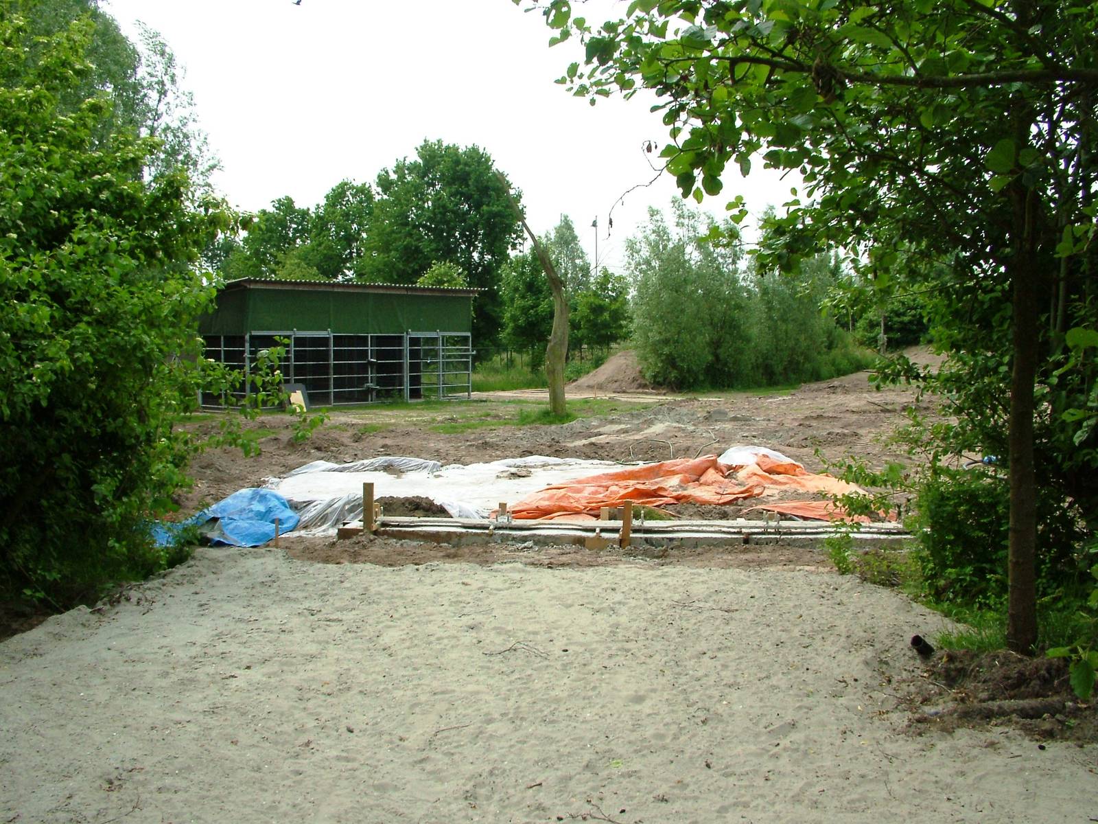 Moose to Lion Conversion at Dierenrijk, 31/05/12