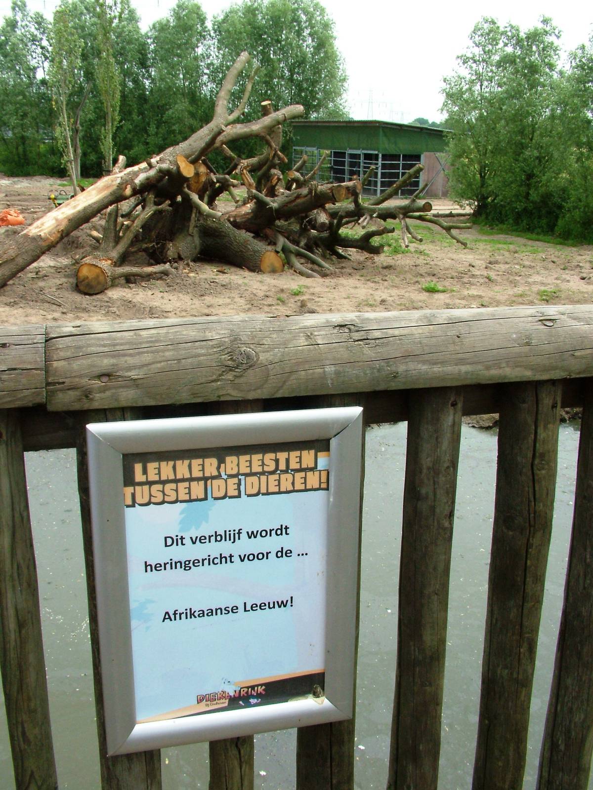 Moose to Lion Conversion at Dierenrijk, 31/05/12