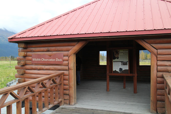 moose viewing deck