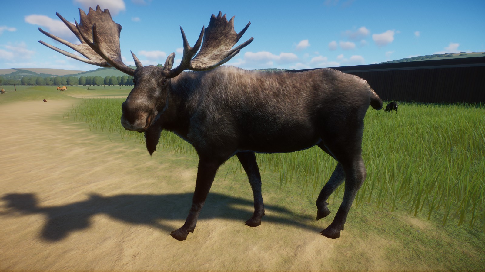 Moose