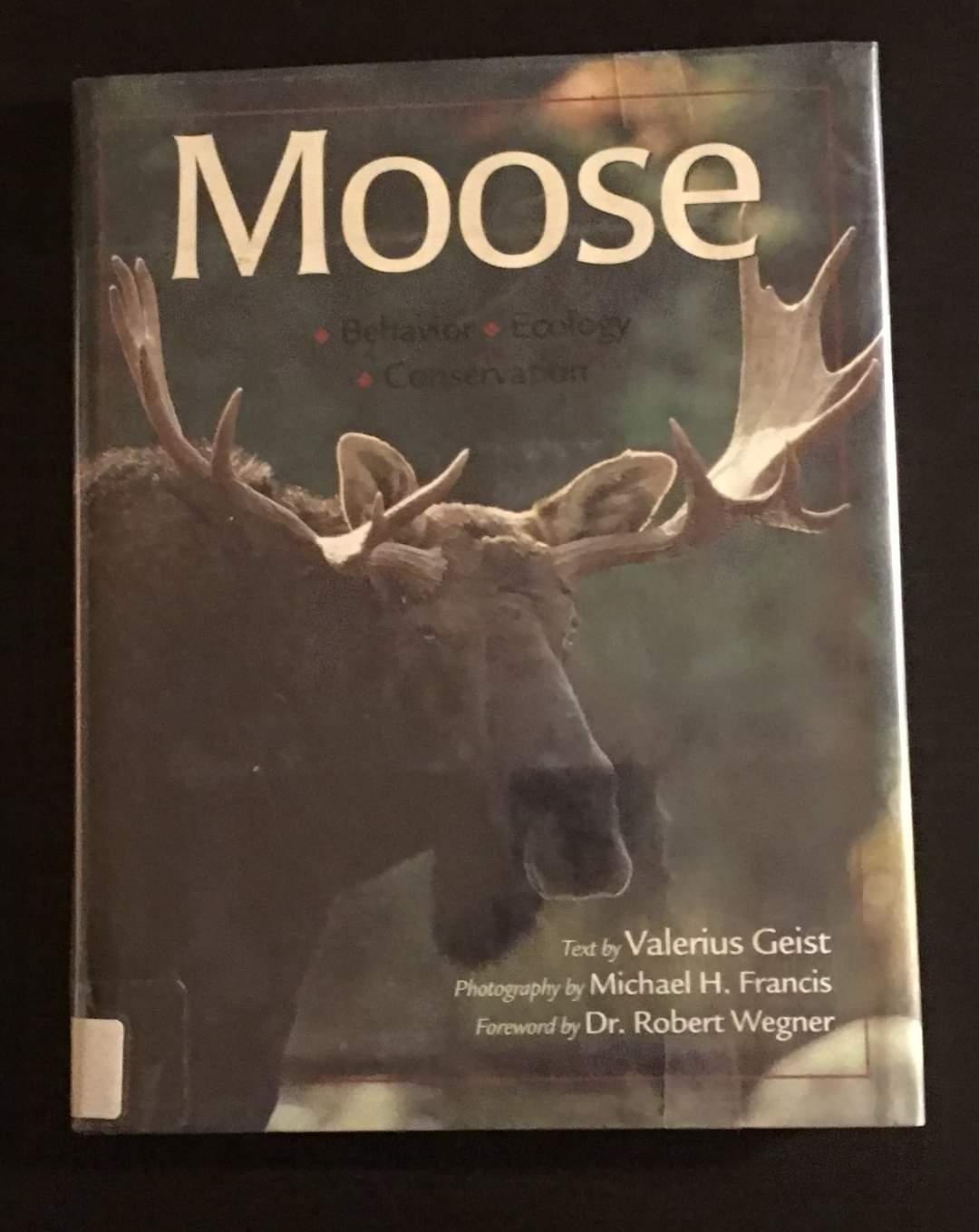 Moose