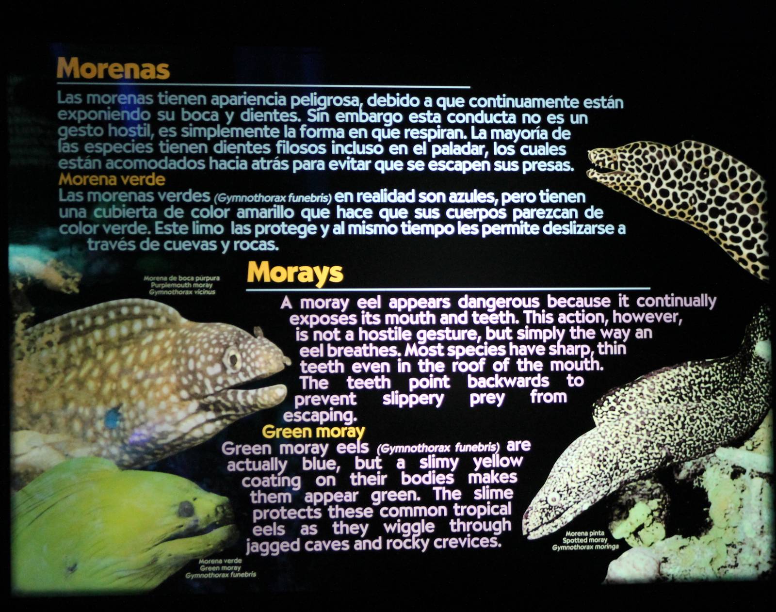 Moray information sign