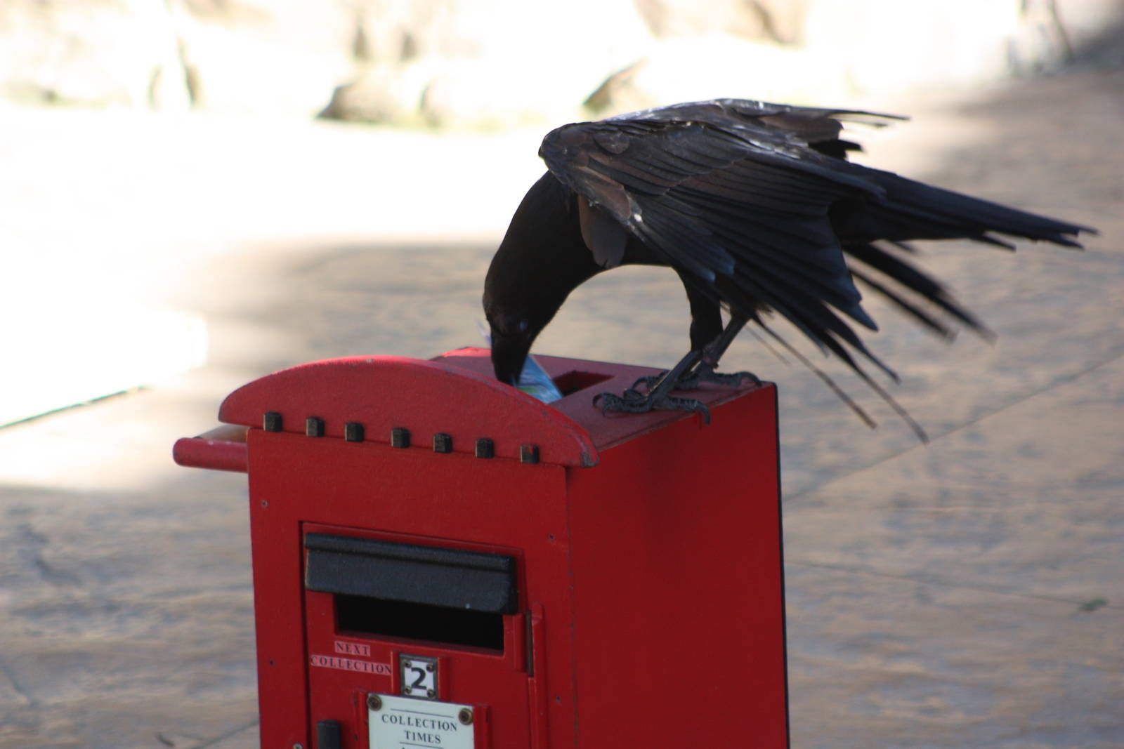 Mordred, 4th August 2014