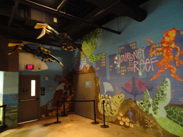 More Animals Added to Journey to the Reef Entrance